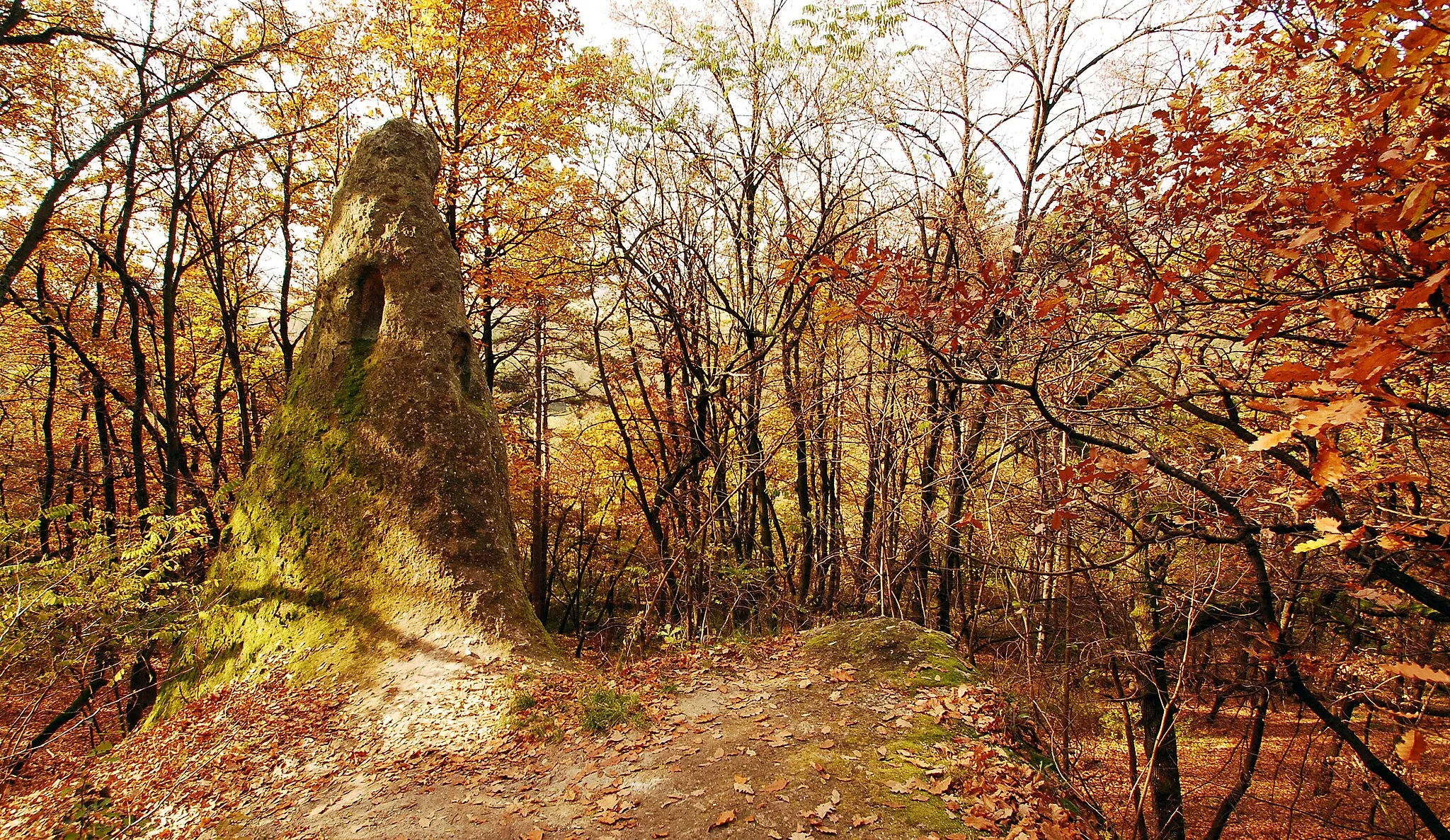 Photo showing: A beehive stone (Kaptárkő) north of Cserépfalu, Hungary.