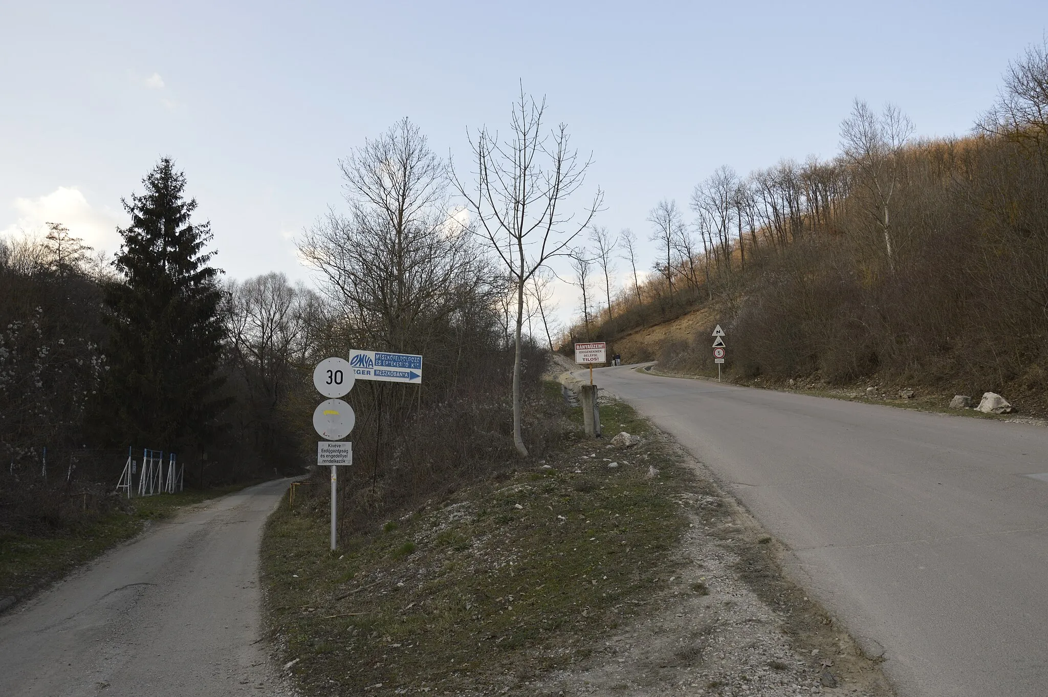 Photo showing: Erdei út kezdete