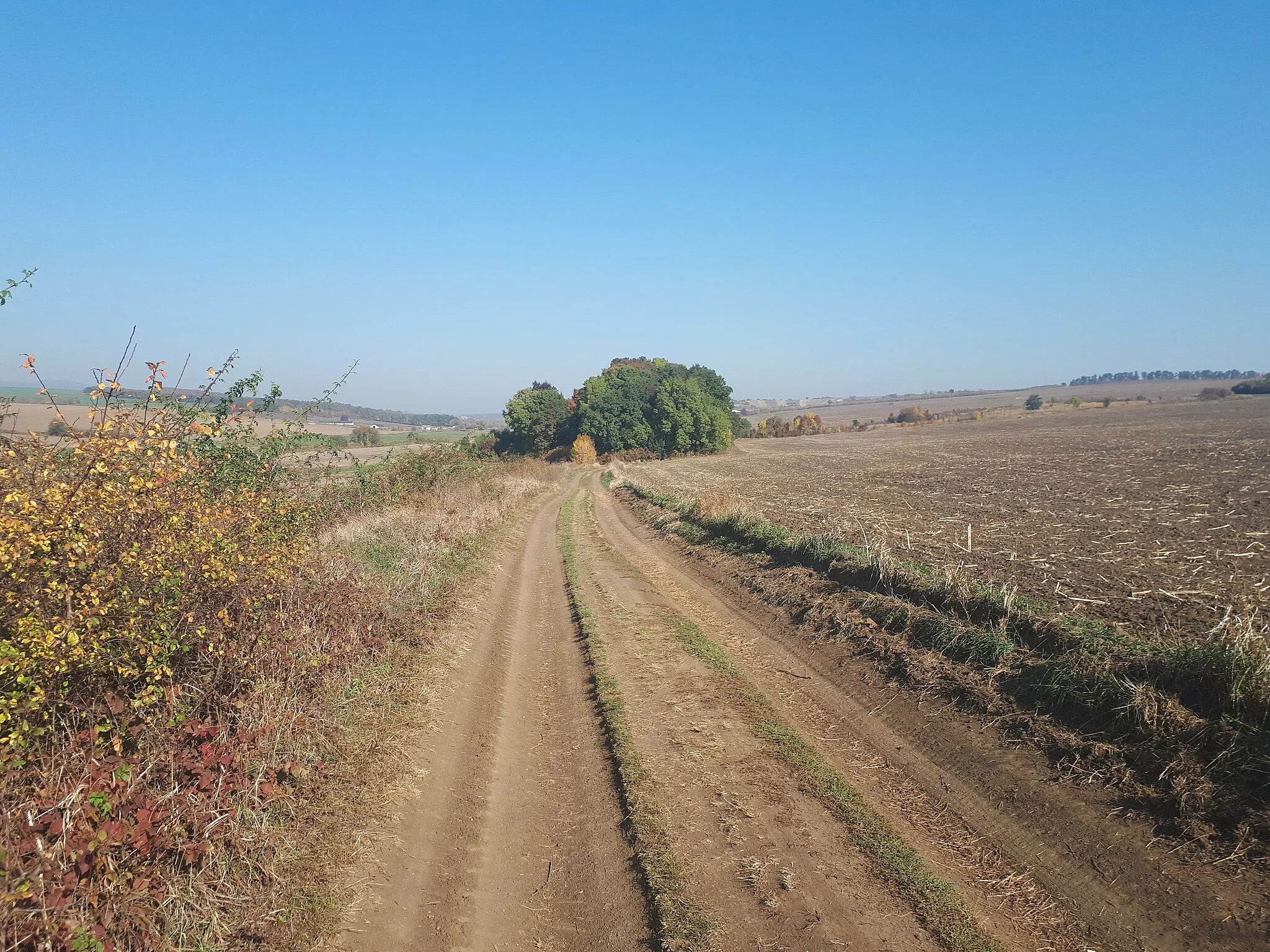 Photo showing: A Harsány és Vatta közötti mezőgazdasági út 2018 októberében