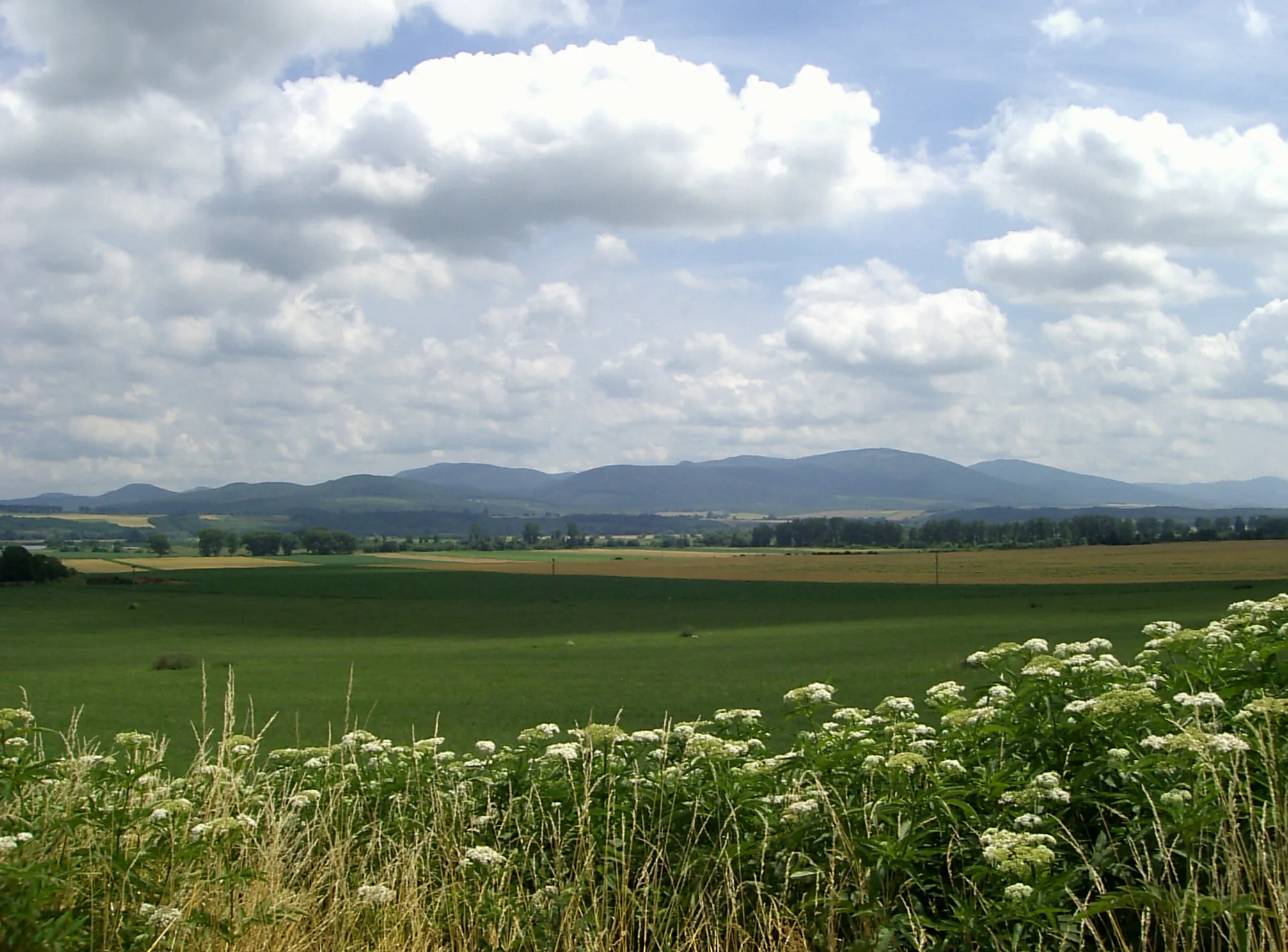 Photo showing: Zempléni-hegység (Tornyosnémeti)