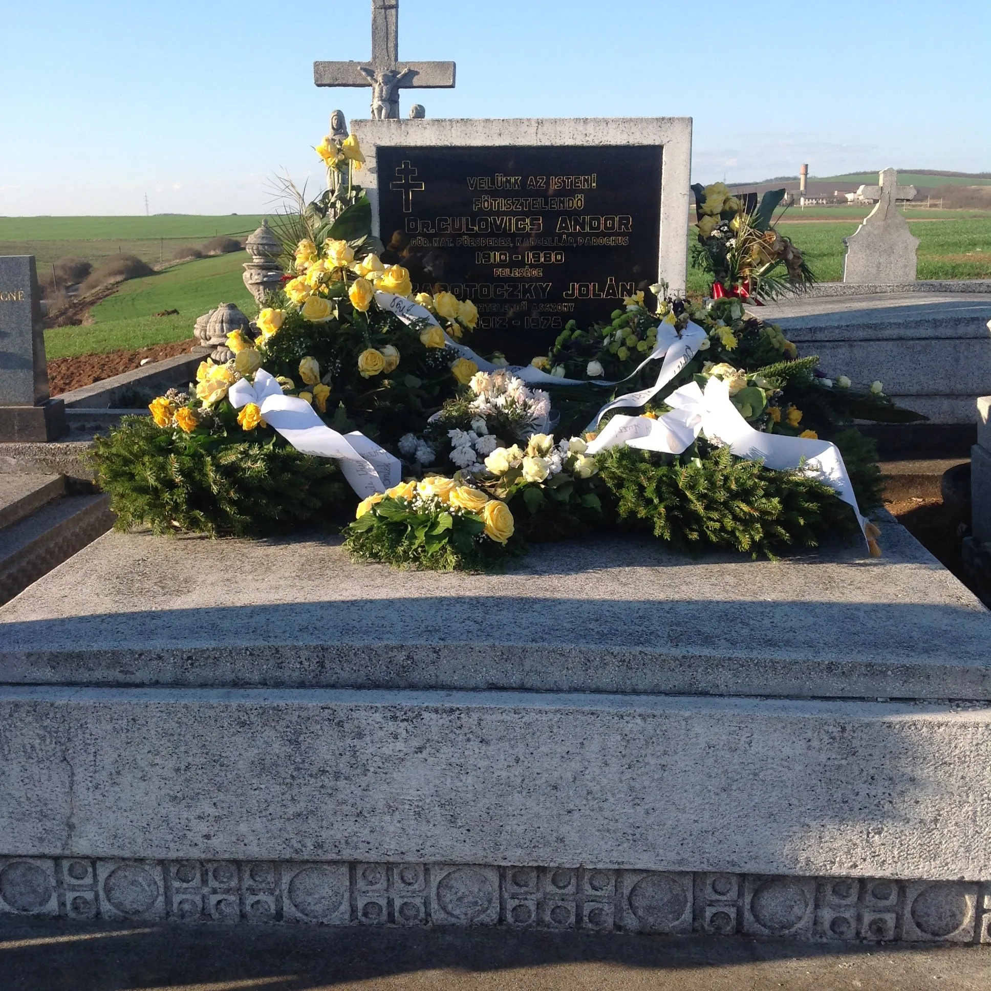 Photo showing: Dr. Gulovics Andor sírja a múcsonyi temetőben (Borsod-Abaúj-Zemplén megye)