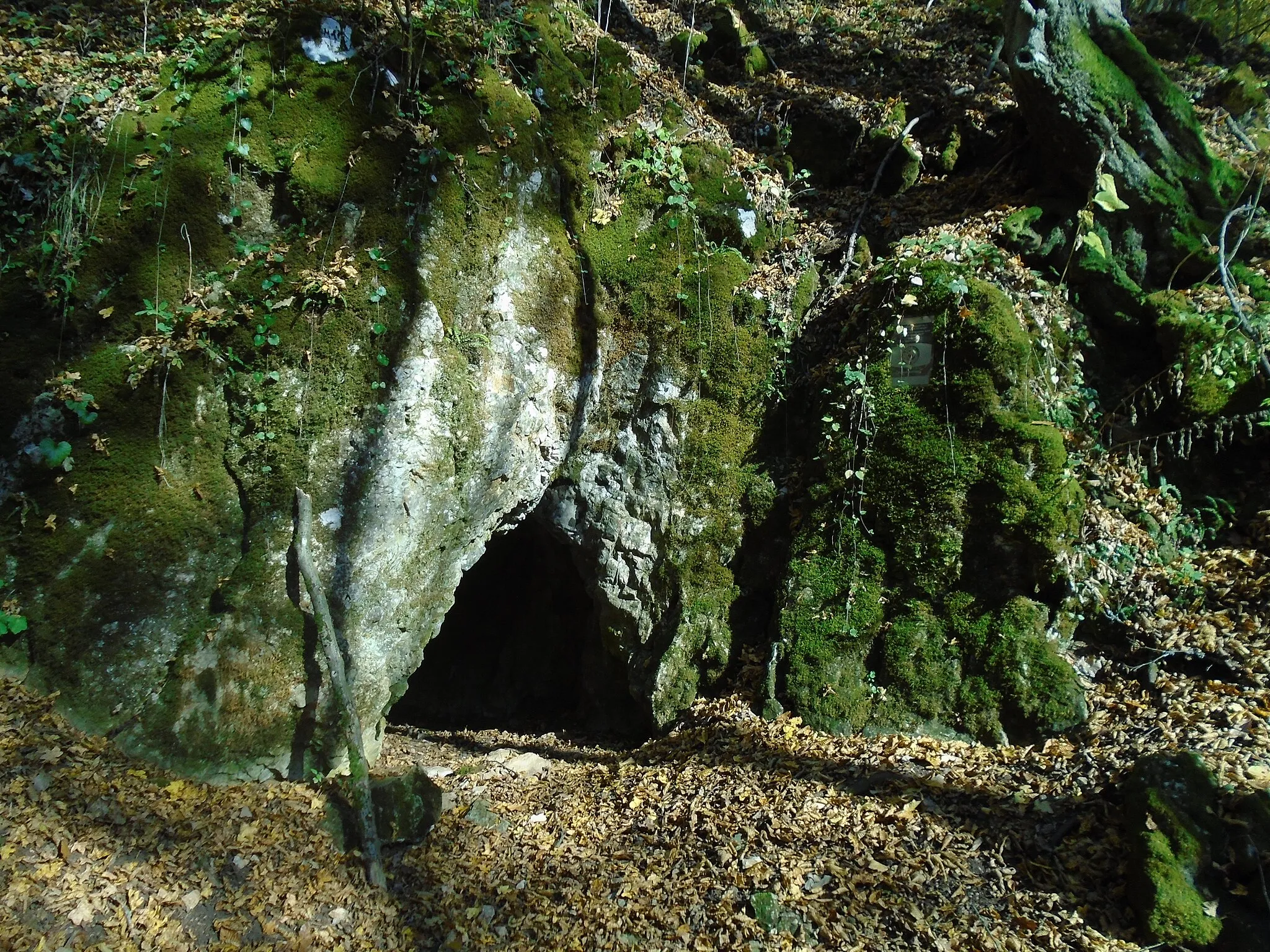 Photo showing: Entrance of Danca Cave.