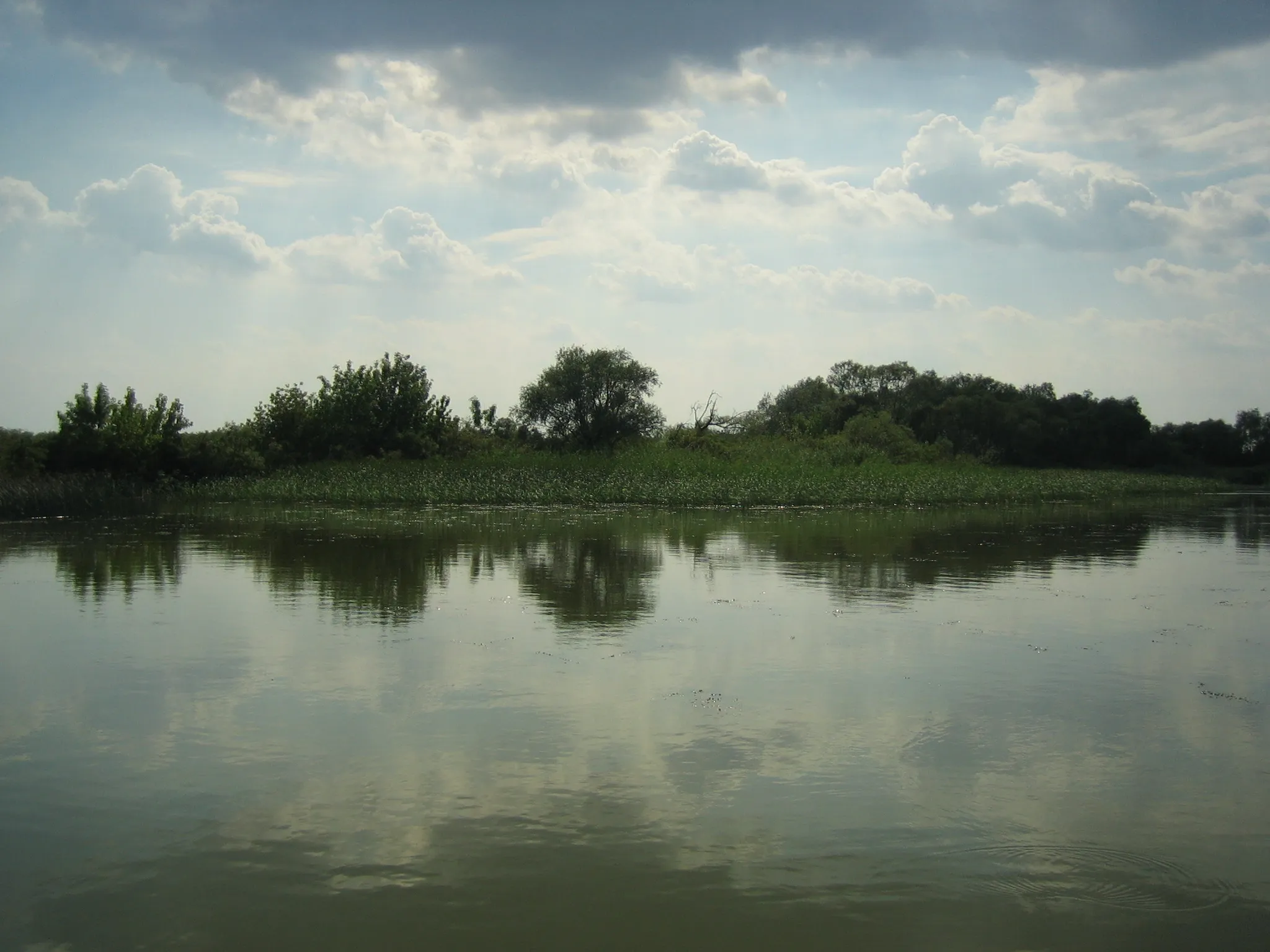 Photo showing: View of Lake Tisza