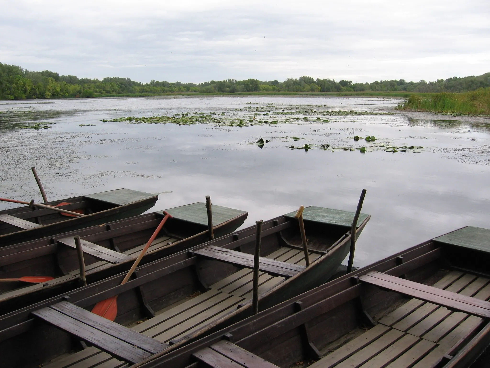 Photo showing: Hungria - Tisza