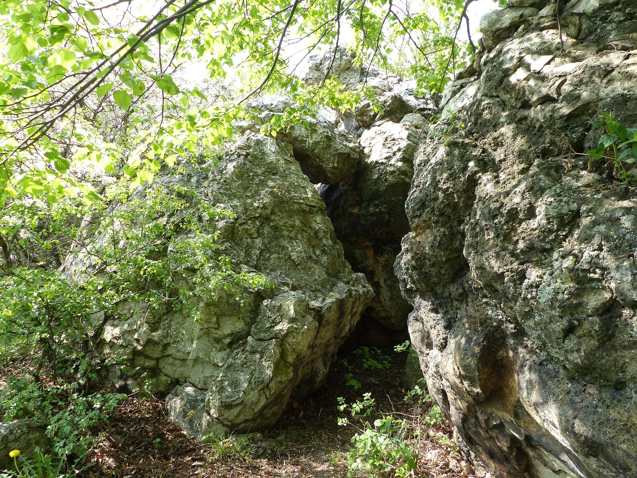 Photo showing: A felvétel 2016. április 12-én, kedden készült a Megyer-hegy lábánál, Sárospatakon. Botkő. A miocén korban, 10-12 millió évvel ezelőtt vulkáni tevékenység alakította ki a Zempléni-hegységet. A hegylábi területeken hévforrások (gejzirek) működtek. Itt, a Botkőnél egy  gejzírkúp  működött, amelyből magas kovasavtartalmú meleg vizes oldatok távoztak, a működés hatására egy gejzirit nevű szárazföldi kovaüledék vált ki a forrás környezetében, és az általa táplált tavacskákban. A  Botkő alatti mezőn ütközött meg  a 15. században Hunyadi Mátyás  Giskra huszita zsoldosaival.
Szélesség (lat):  N 48° 20,370'  Hosszúság (lon):

E 21° 34,554'  Források: http://turistautak.hu/poi.php?id=5839 http://mfv.hu/heti_rovatok/a_kovek_meselnek/?cid=153