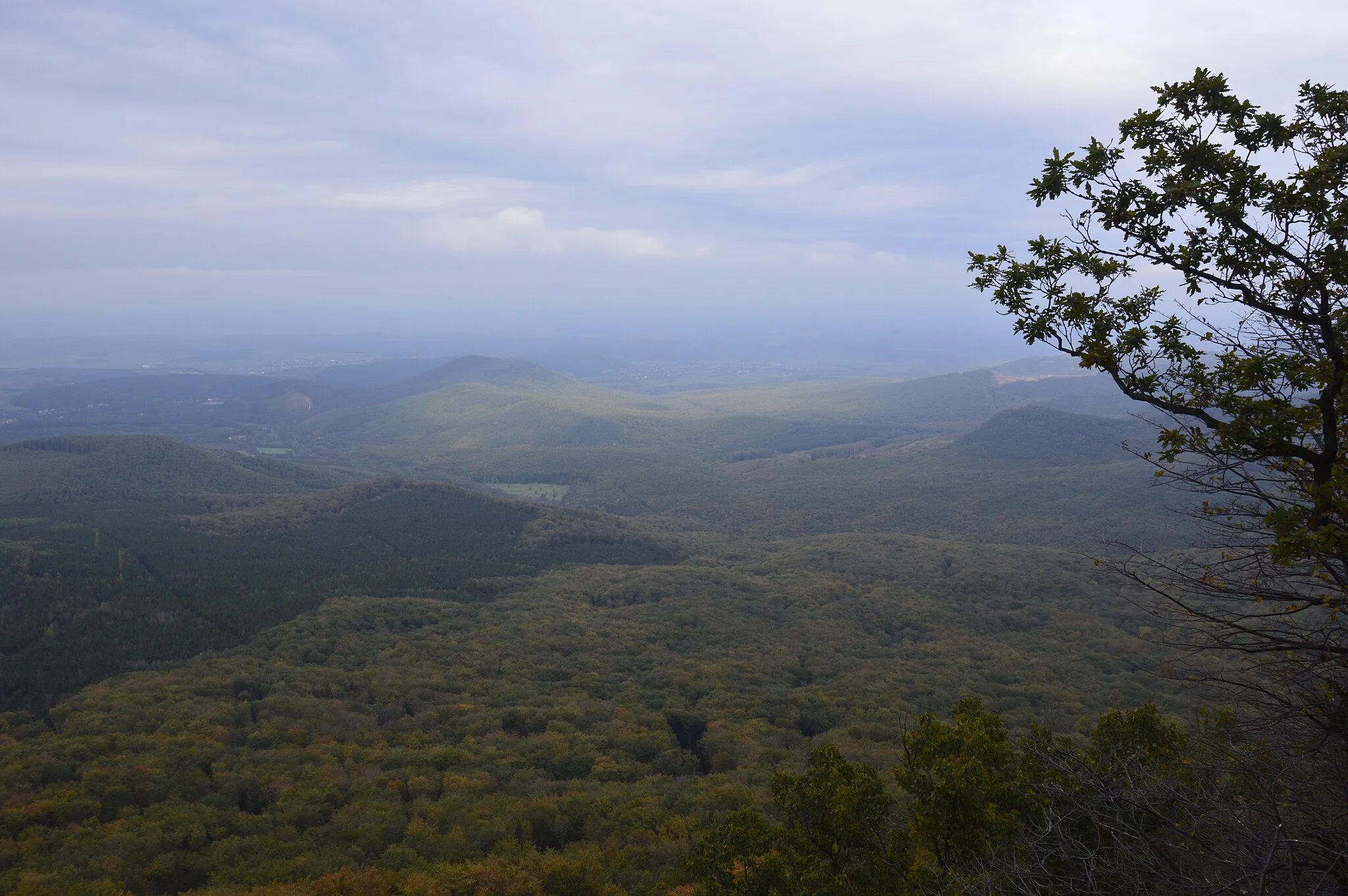 Photo showing: Disznó-kő kilátás