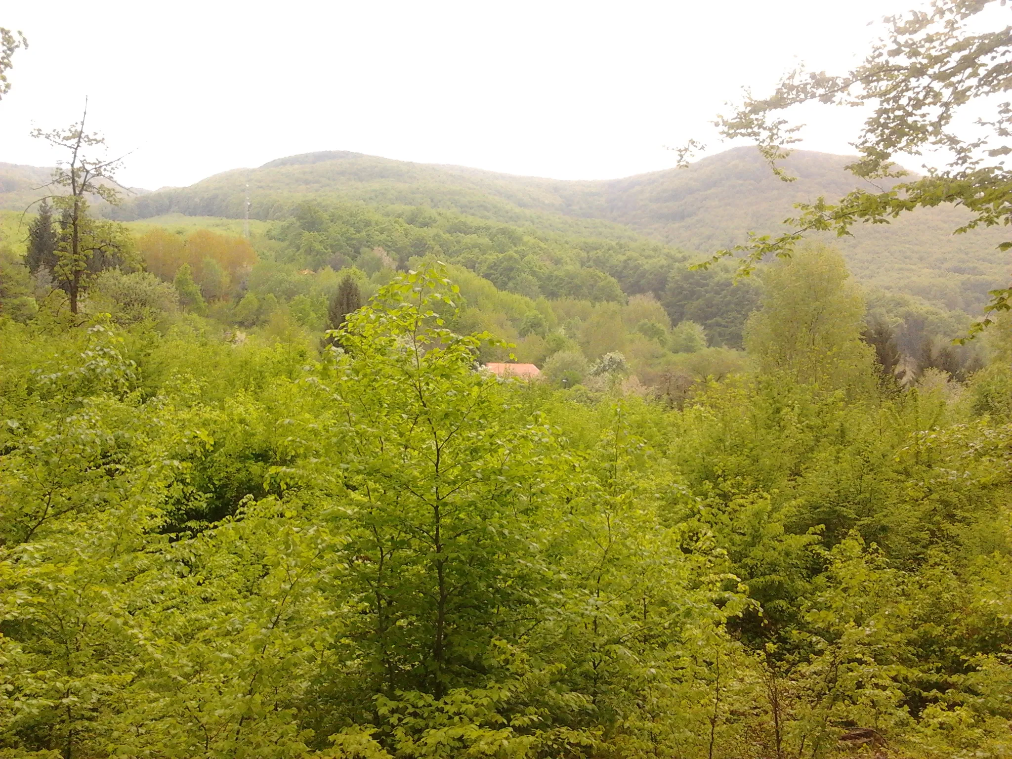 Photo showing: Galya-tető, Galyavár tavasszal
