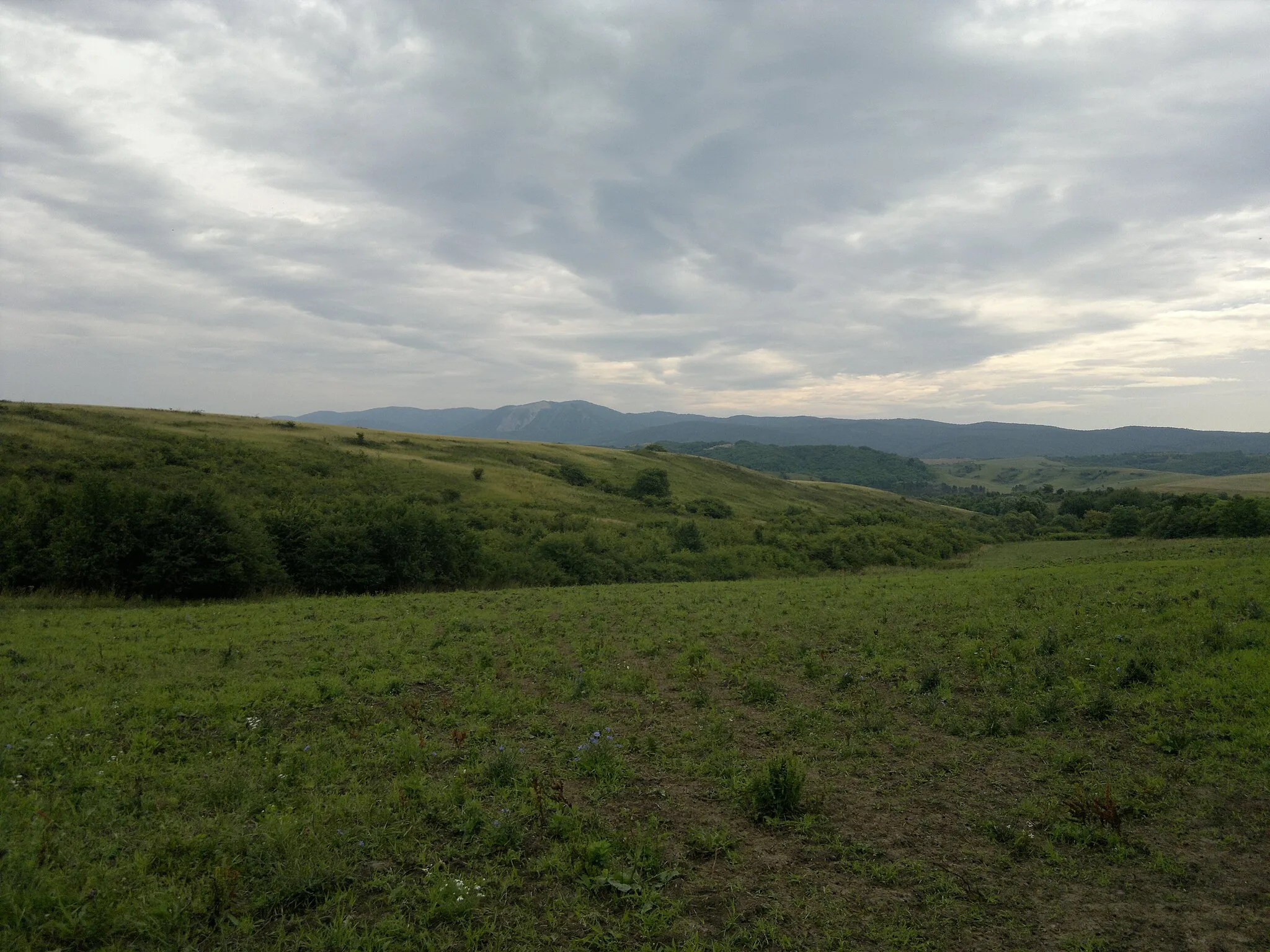 Photo showing: Egerbocs, Rákostető