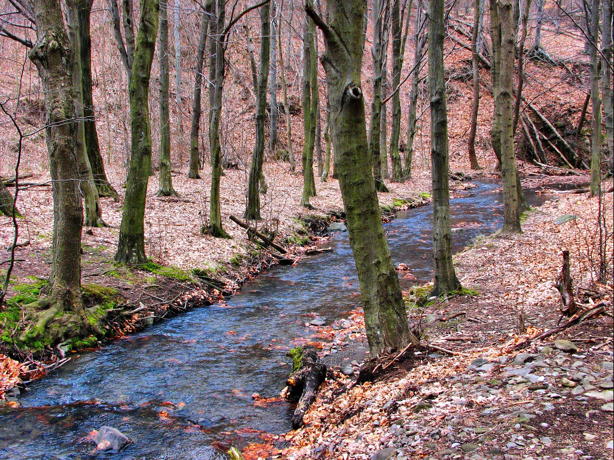 Photo showing: Kemence Stream, Diósjenő, 2643 Hungary