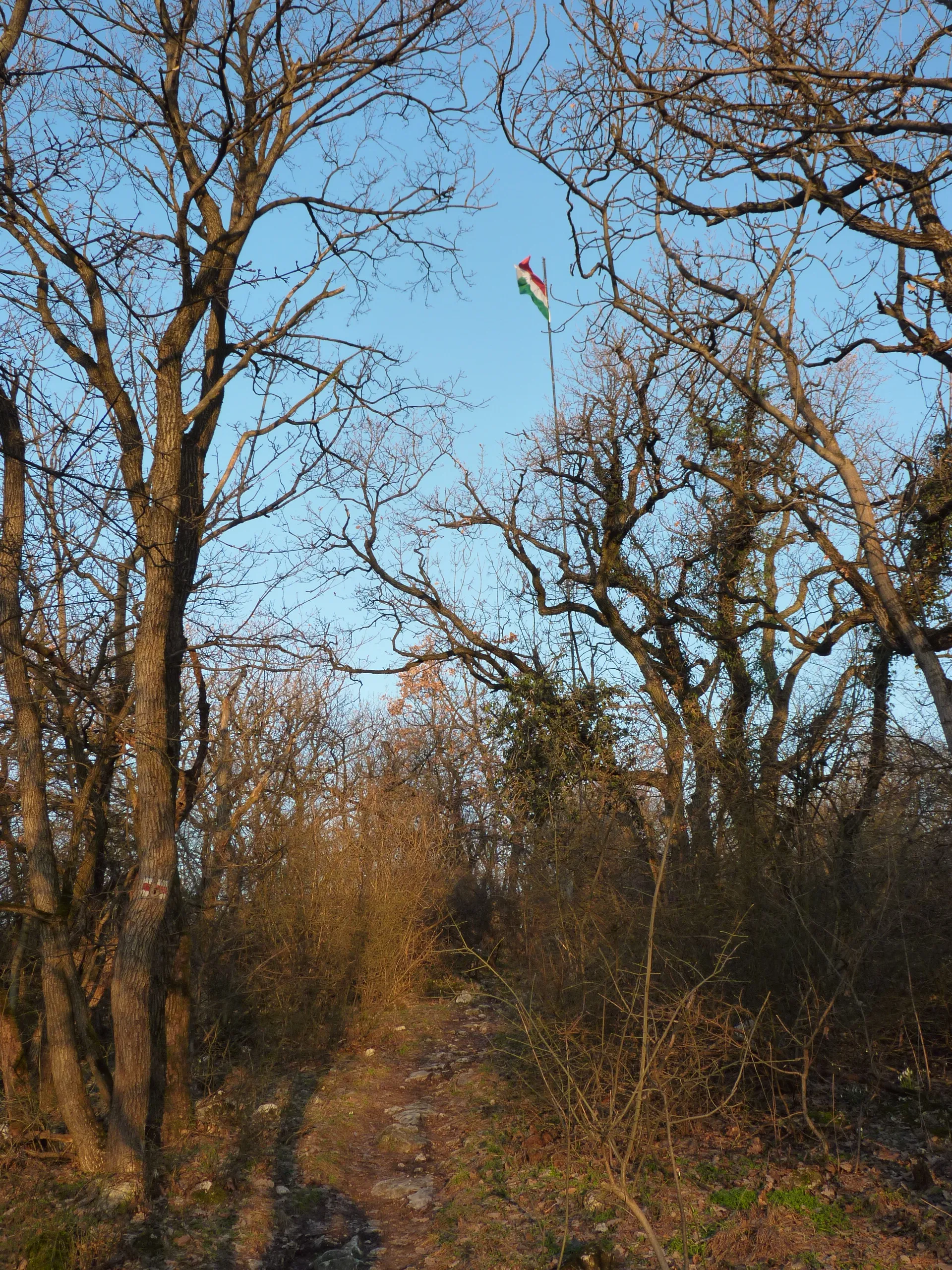 Photo showing: Fekete-fej hill with flagpole