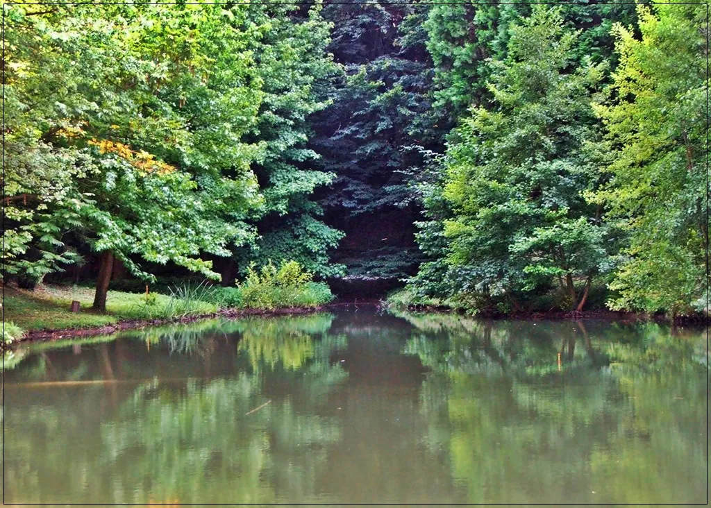 Photo showing: Az Agostyáni Arborétum tava