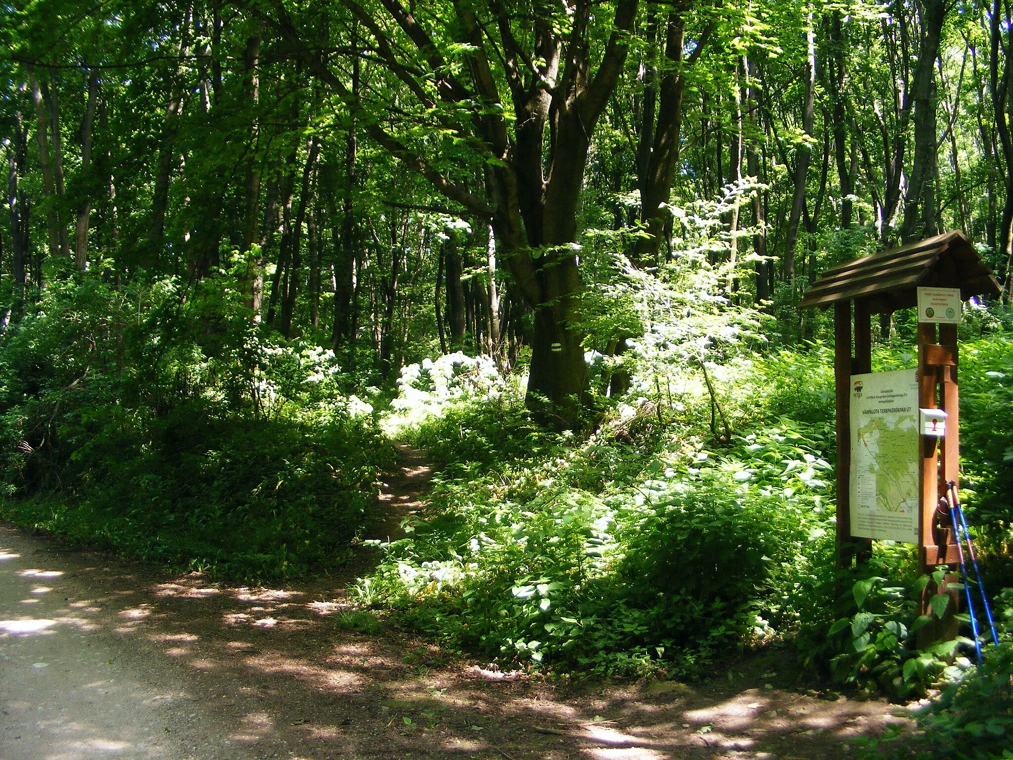 Photo showing: Hamuház KDP PH 17. Közép-Dunántúli Piros pecsételőhely. A murvás út mellett, a Várpalota terepkerékpár út térképes táblán. ÉS K, OKT 09. (Zirc – Bodajk) része. Várvölgyi terepkerékpárút része -  Hamuház, Tűzköves völgy, Isztimér, Móri járás, Fejér vármegye, Dunántúl, 8045, Magyarország. uristautak.openstreetmap.hu