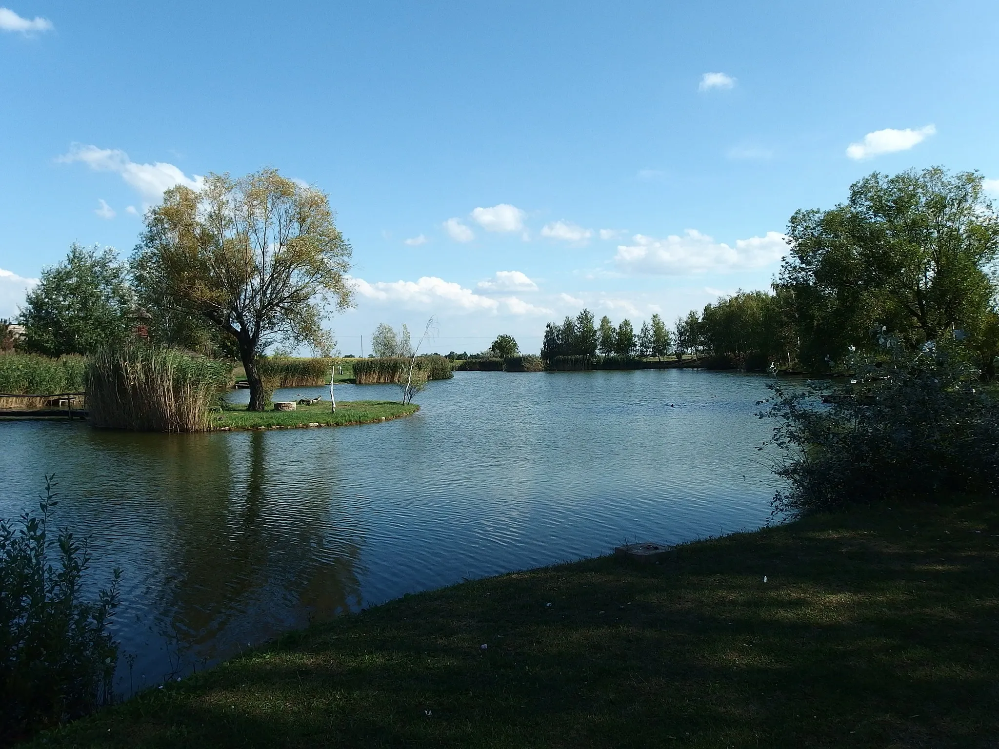 Photo showing: The lake at village Tordas in Hungary