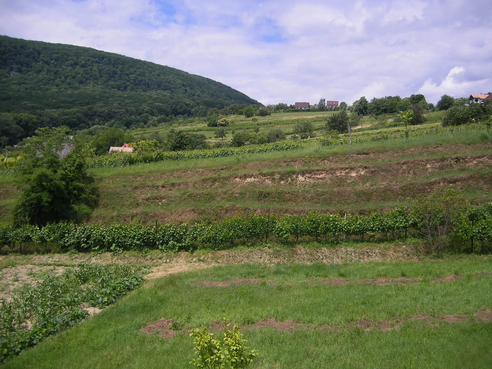 Photo showing: Vértestolna