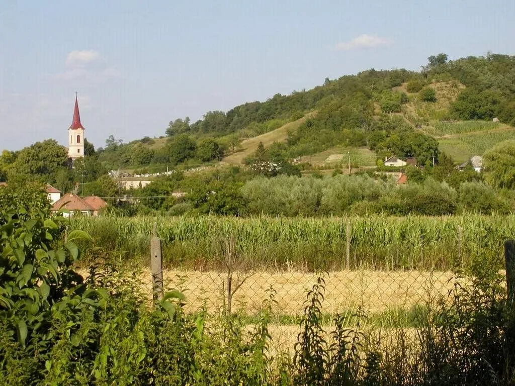 Photo showing: Pohľad na obec

Licensing
Autorom fotografie je Imrich Šimonek z Dubníka

sk:Kategória:Presunúť_na_Commons