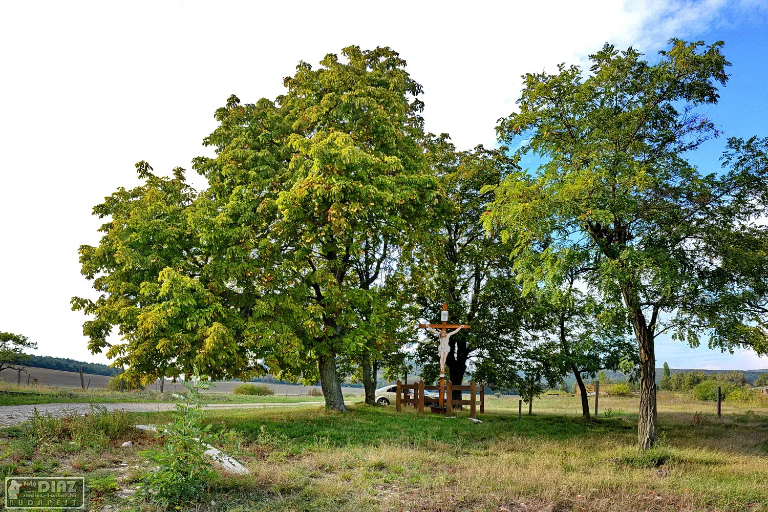 Photo showing: Ún. 'pléh-krisztus' Csákberény határában.