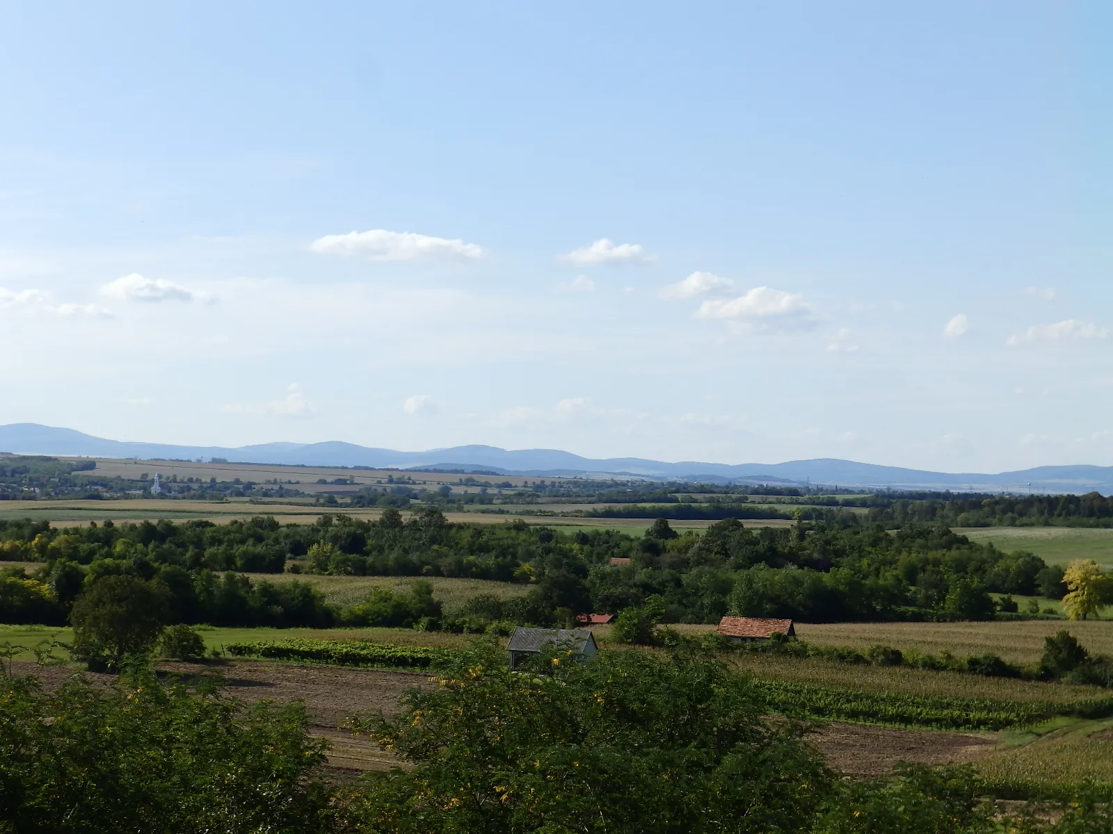 Photo showing: A távolban a Bakony hegyvonulata a Somlyó-hegyről nézve