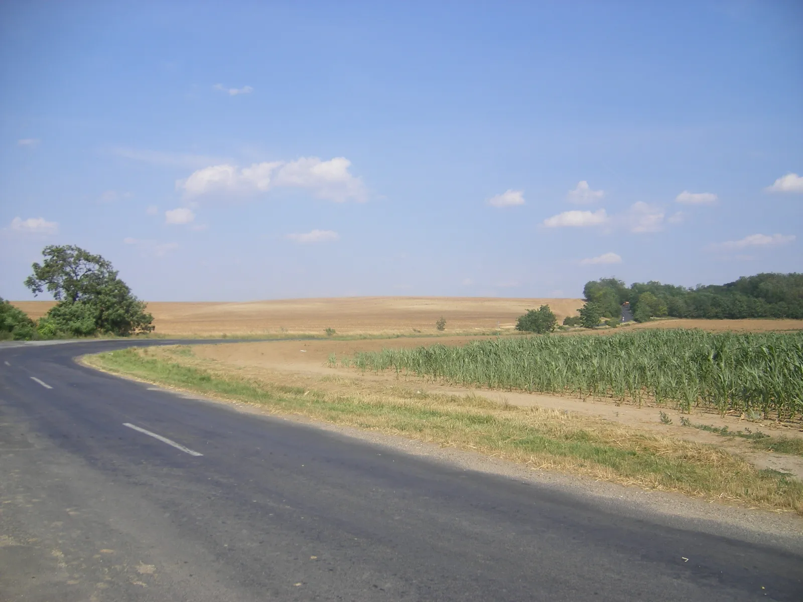 Photo showing: Tájkép Bakonybánk és Lázi között