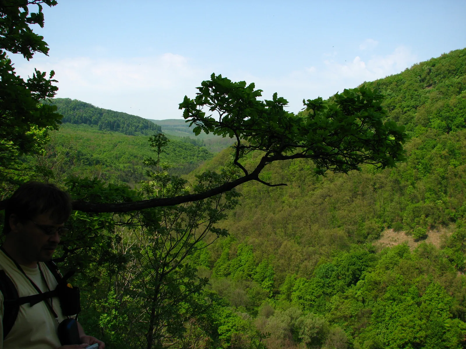 Photo showing: Körösi Csoma emlékhely