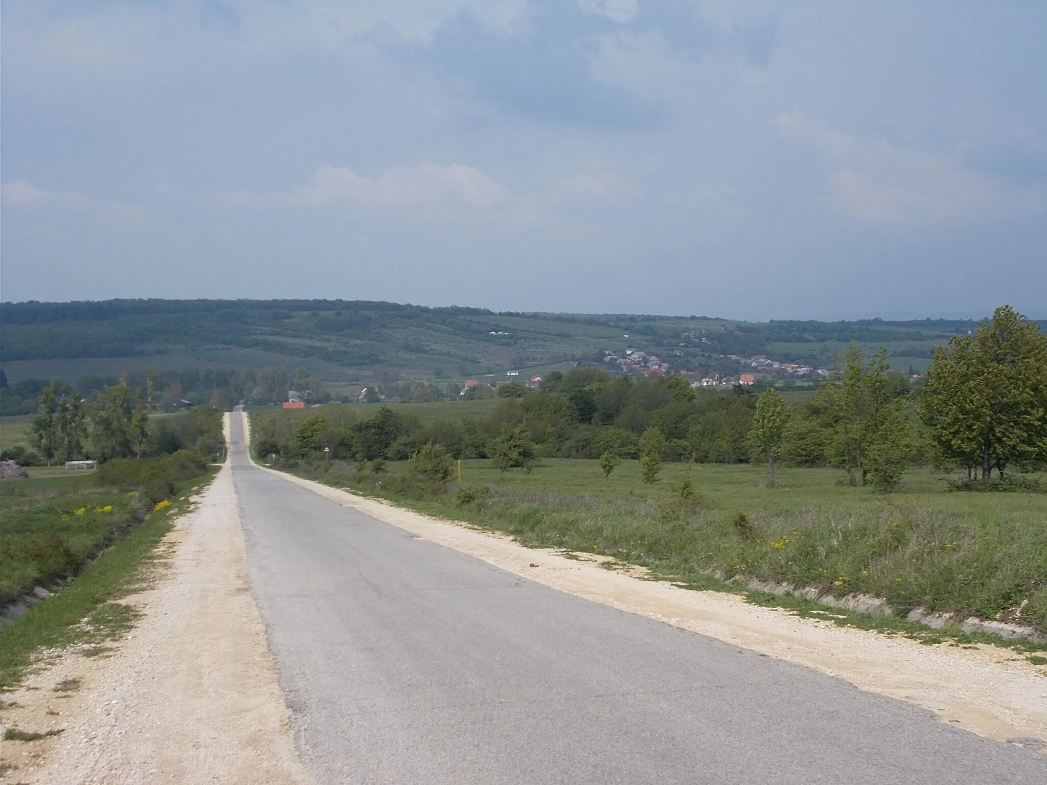 Photo showing: Lókút - a Lókút-Hárskút országút a község határában