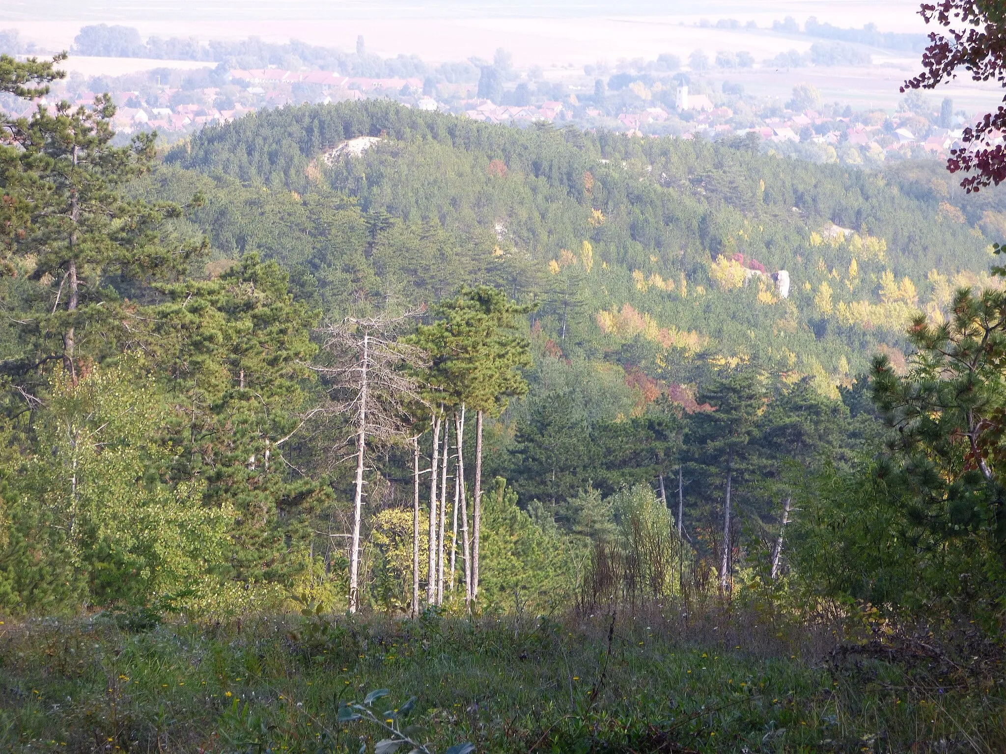 Photo showing: Kilátás a Zajnát-hegyekben (Pilis hegység déli részén) húzódó sárga turistajelzésről, Karátsonyi-liget irányában