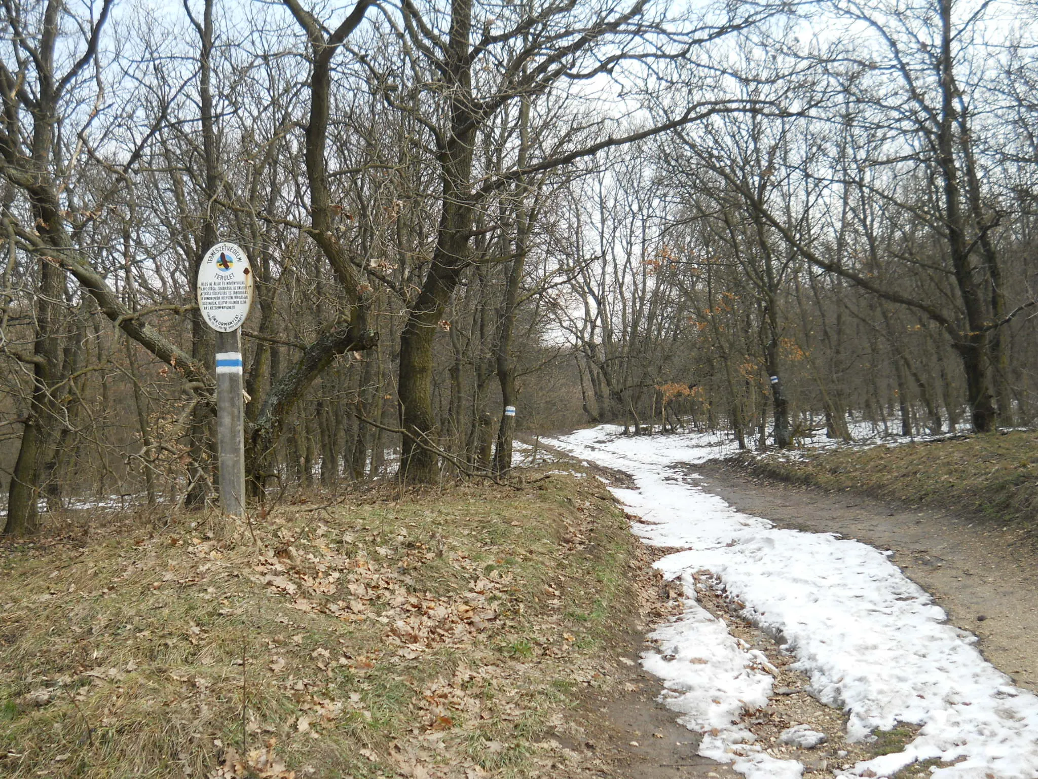 Photo showing: Gánt/Kőhányáspuszta - a Kéktúra jelzése