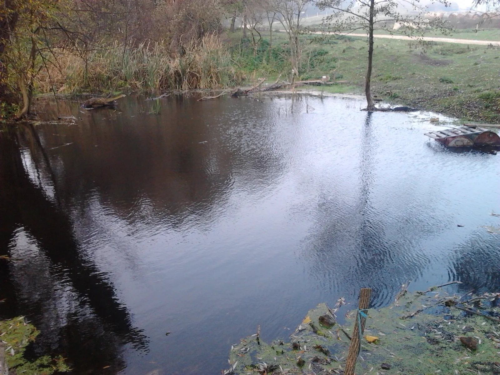Photo showing: A Csákány-patak felduzzasztott vize Csákányospusztánál