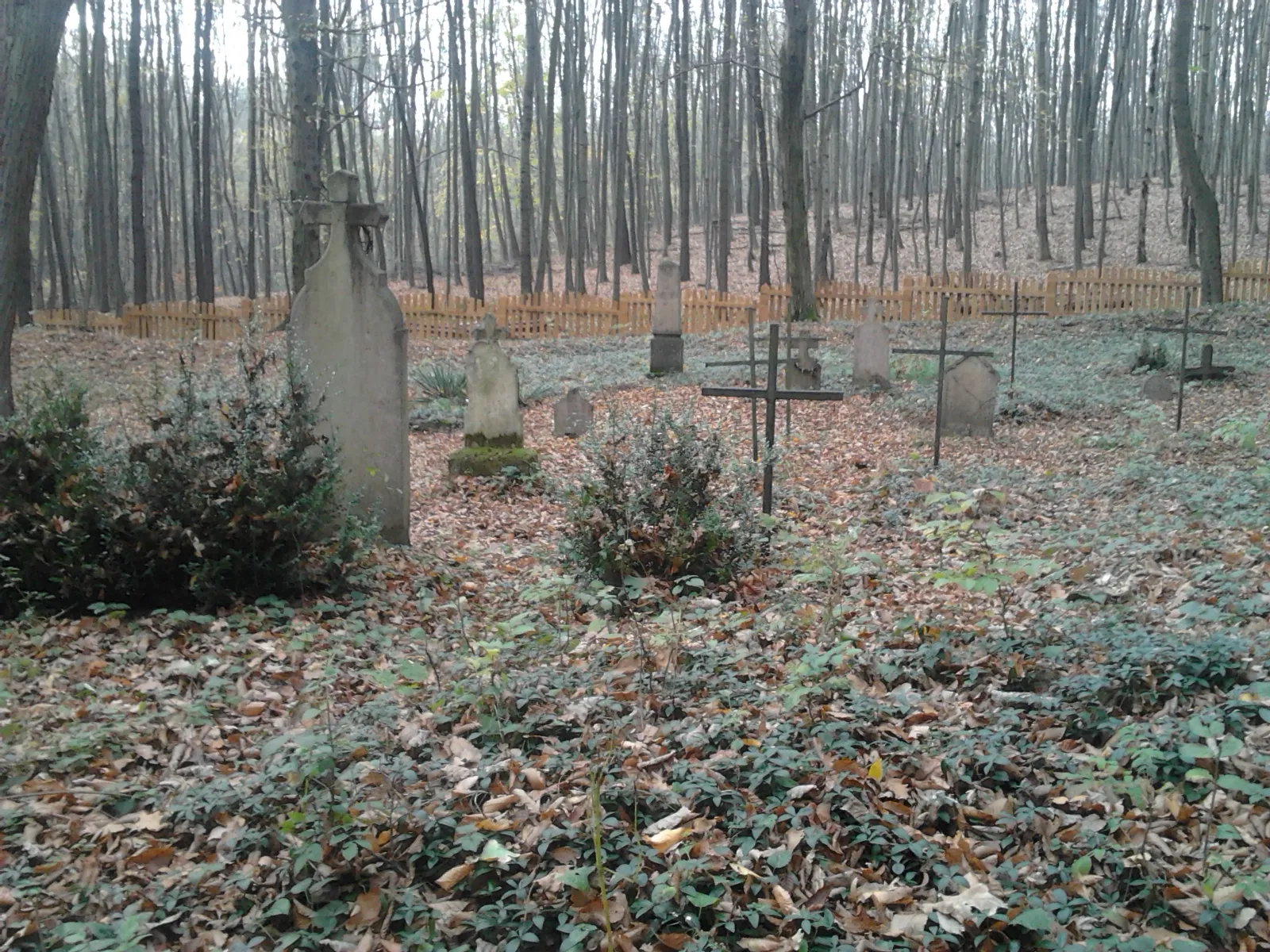 Photo showing: A körtvélyespusztai temető