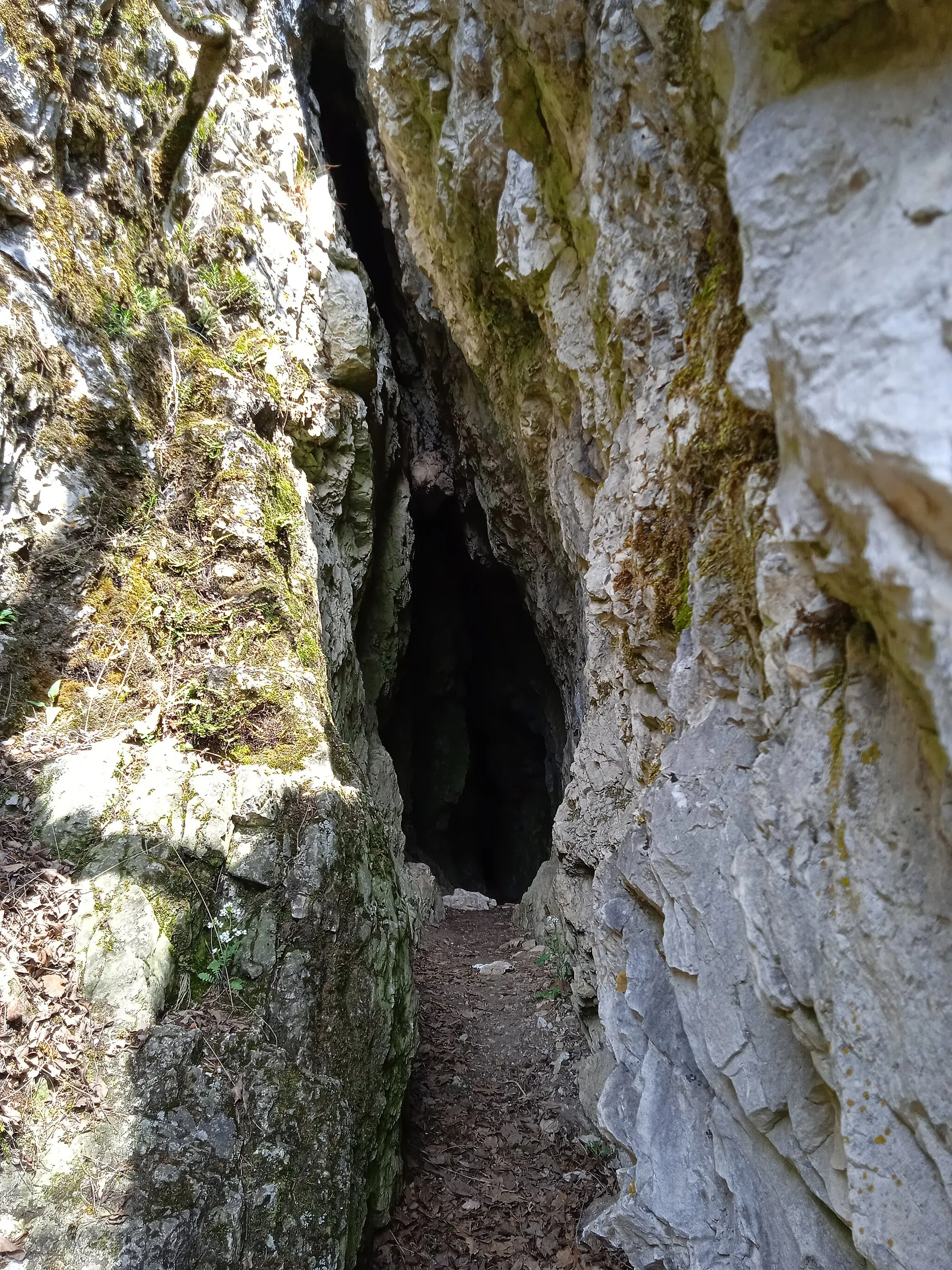 Photo showing: Pamlag-völgyi Cave, Csákvár, Hungary