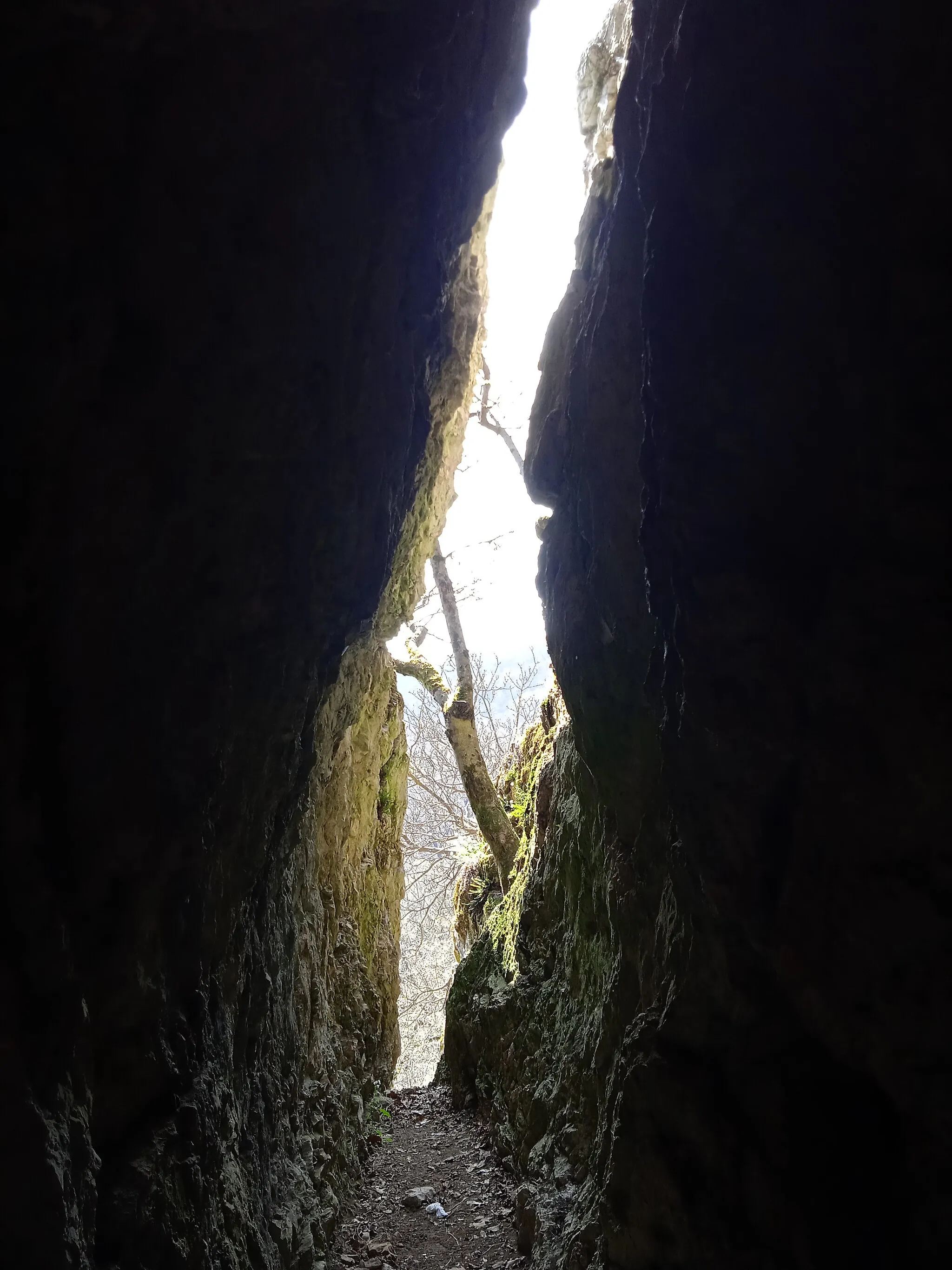 Photo showing: Pamlag-völgyi Cave, Csákvár, Hungary
