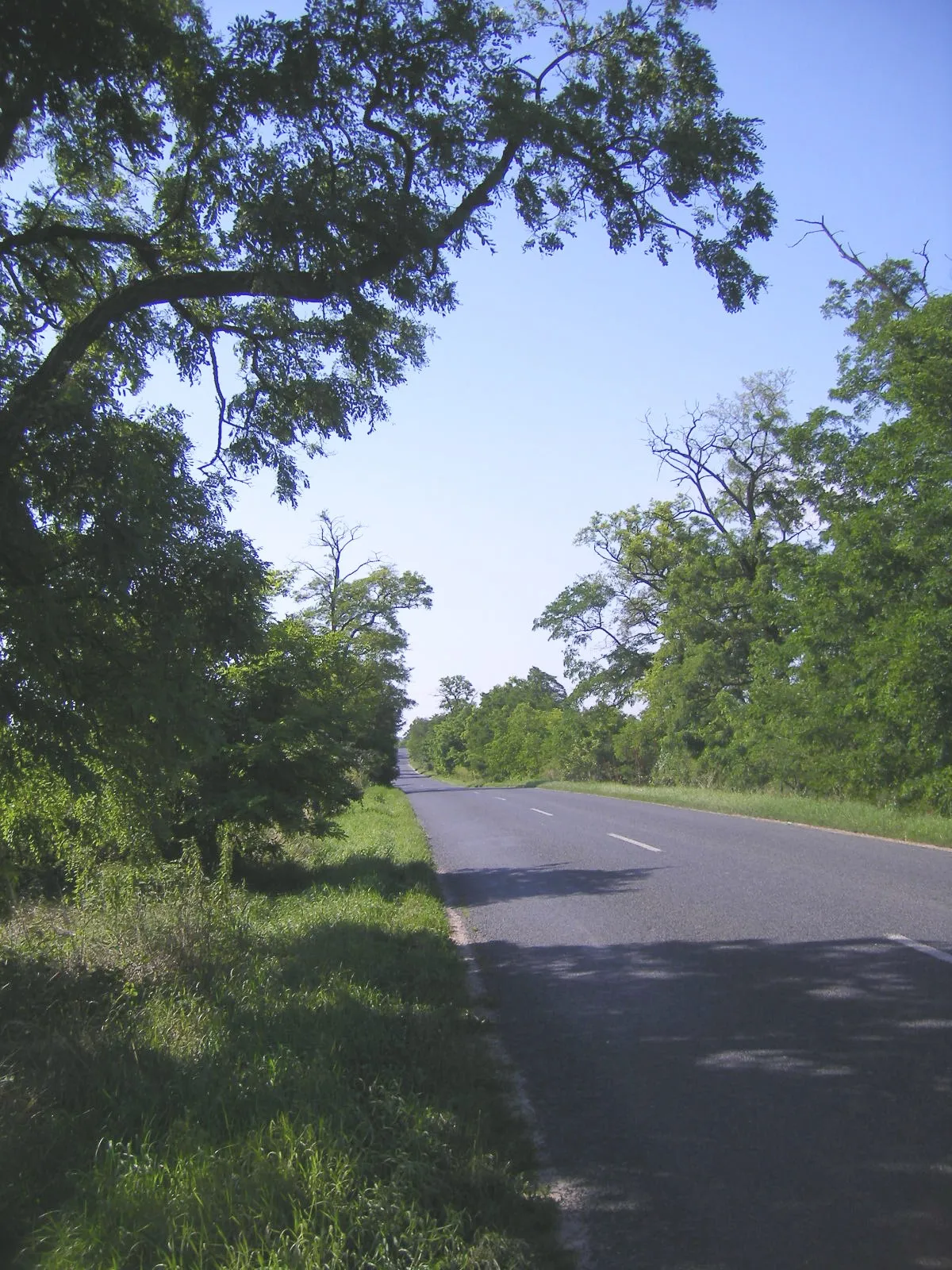 Photo showing: Mocsa - Road between Mocsa and Kocs