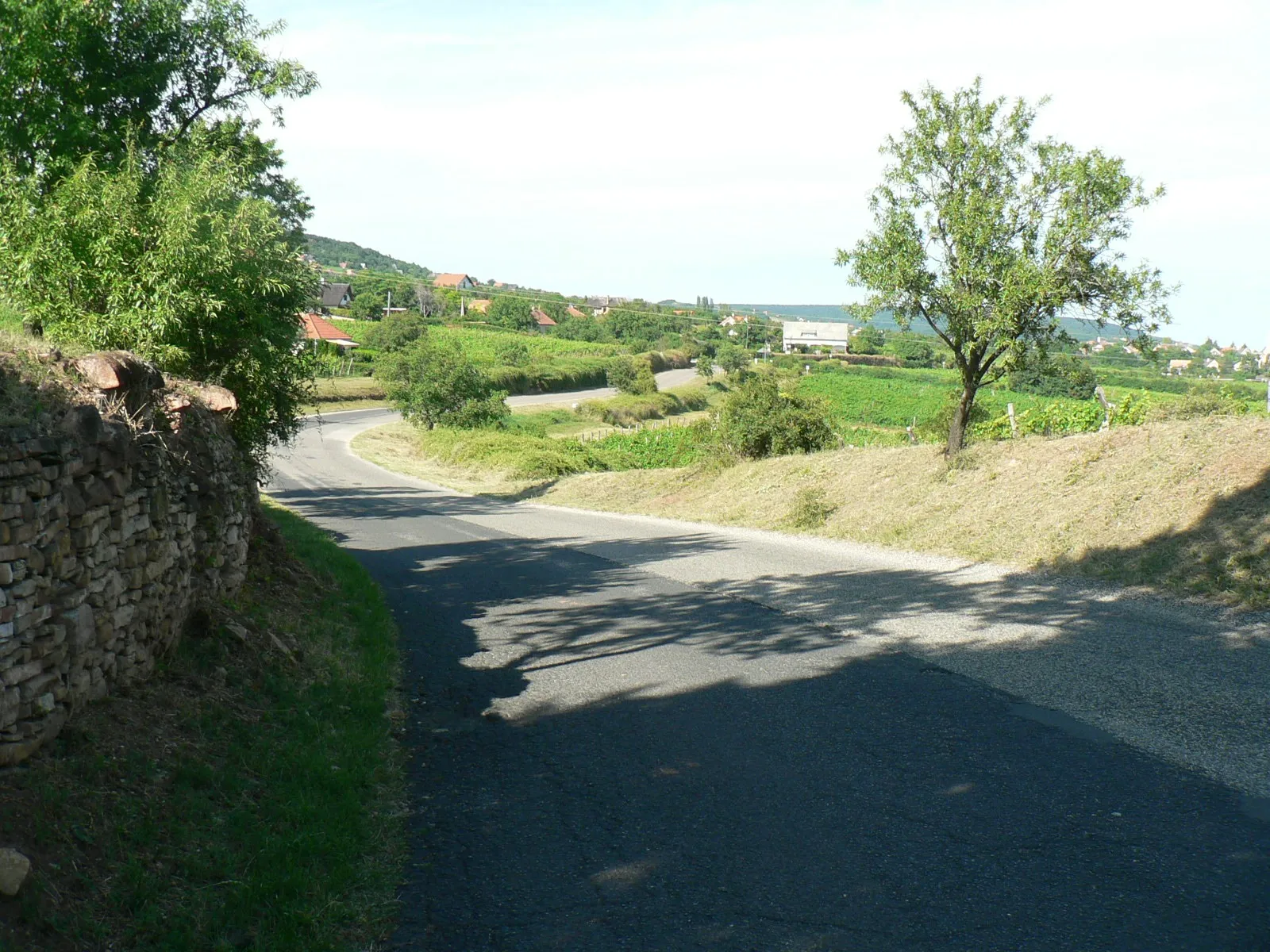 Photo showing: A római út Csopakról kivezető szakasza Paloznak irányában