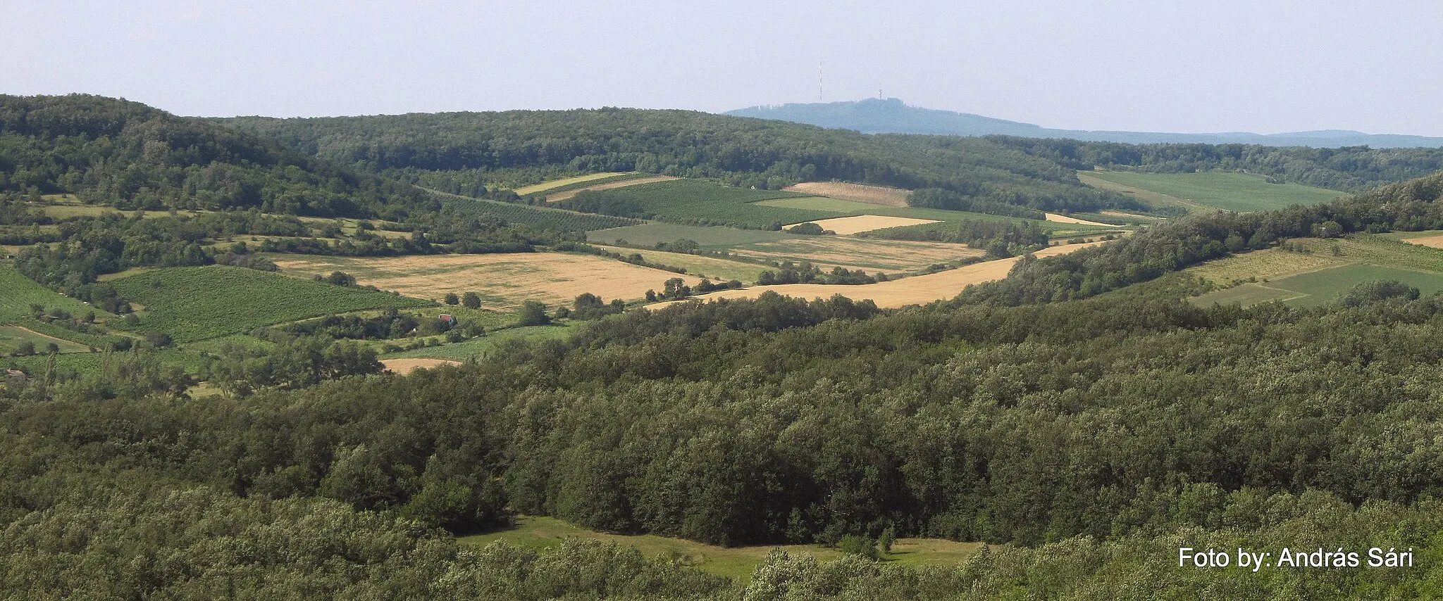 Photo showing: Képek a Hegyestűről 2