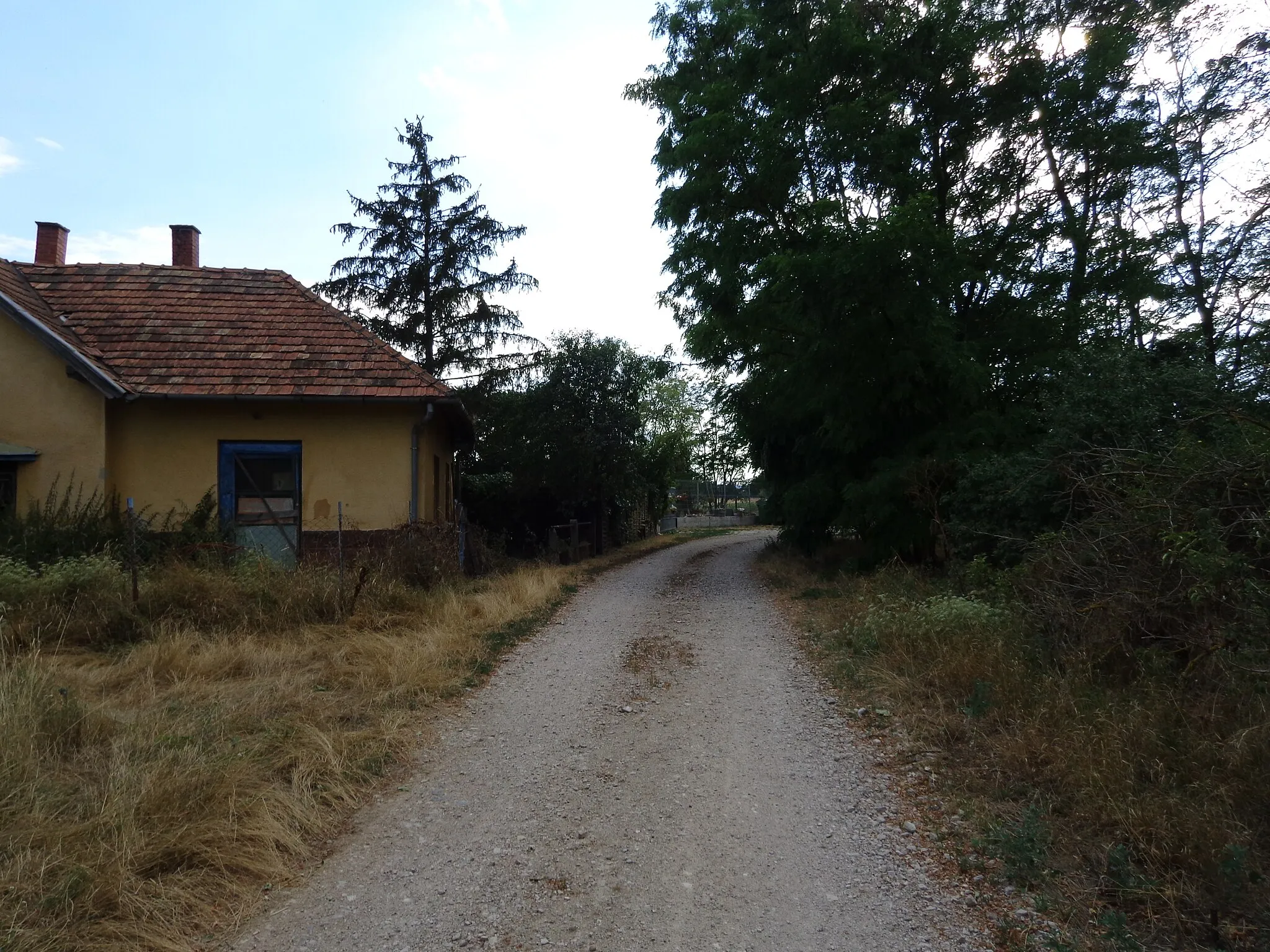 Photo showing: A buszmegálló felé vezető murvás út