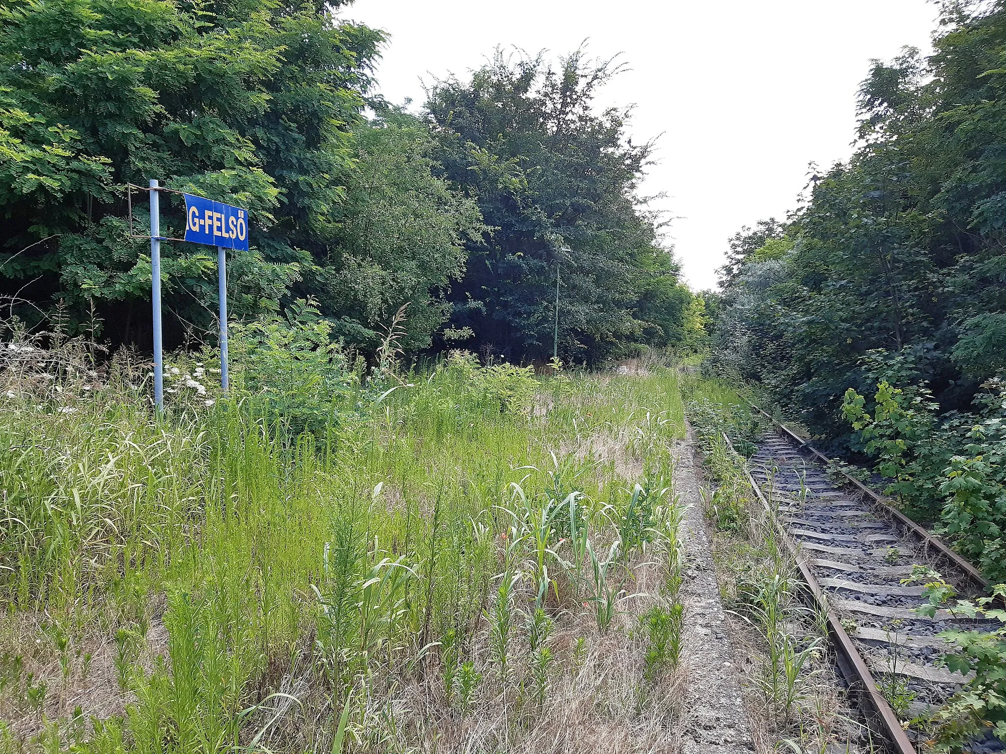 Photo showing: A már megszűnt Csajág-felső vasúti megállóhely