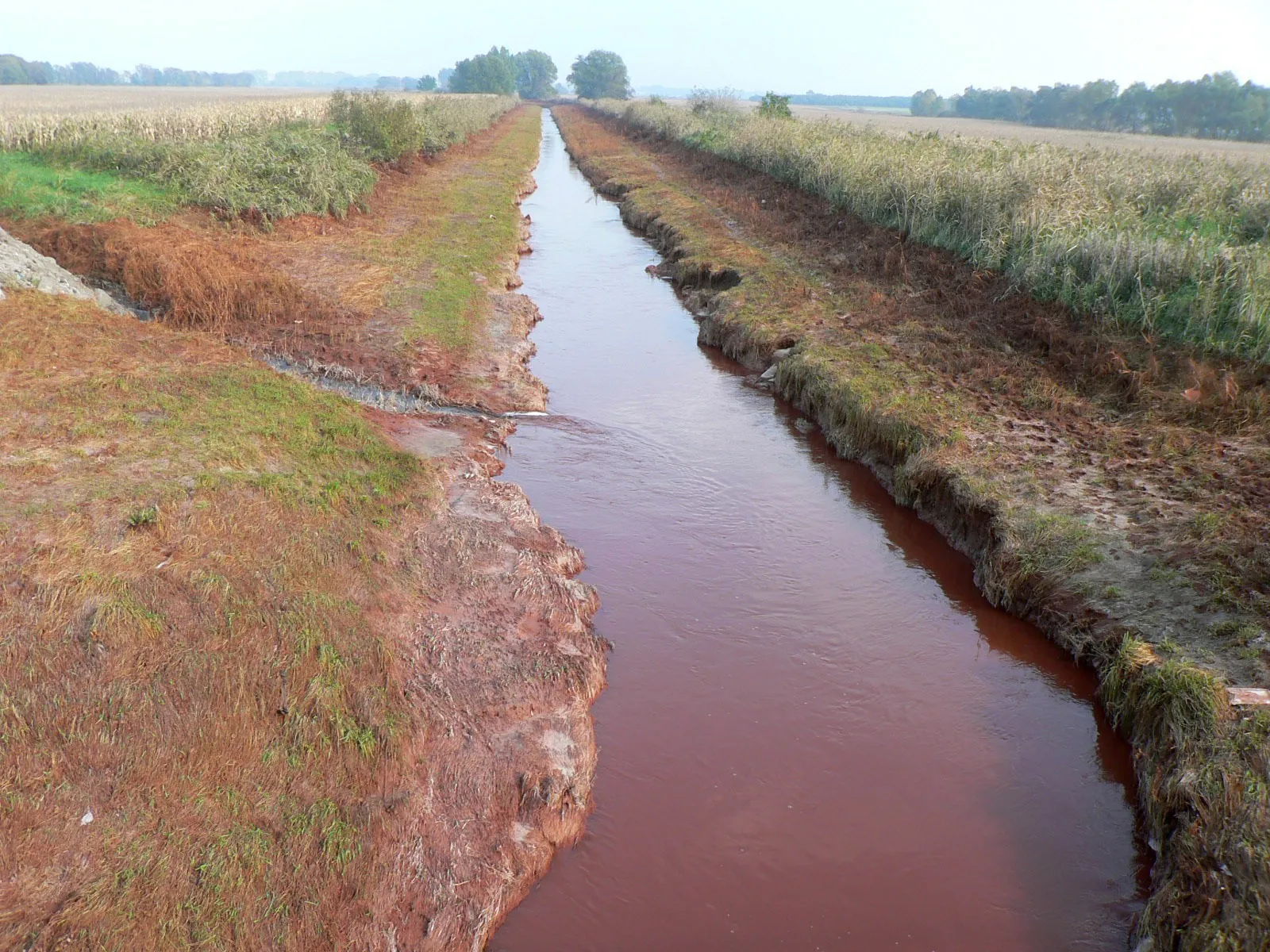 Photo showing: A Torna-patak Somlóvásárhelynél, tíz nappal a 2010. október 4-i vörösiszap-katasztrófa után