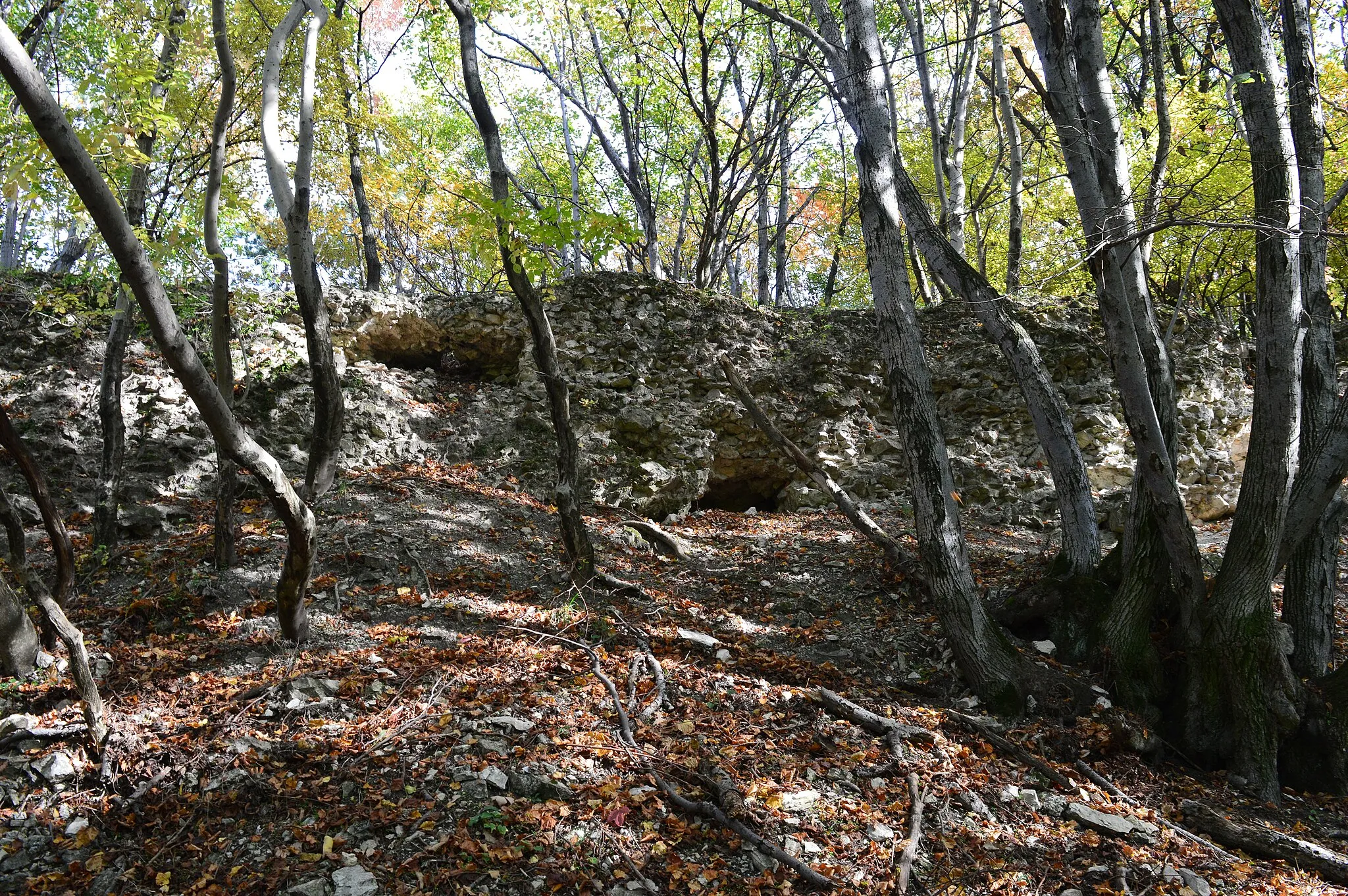 Photo showing: Csáki vár (rom)