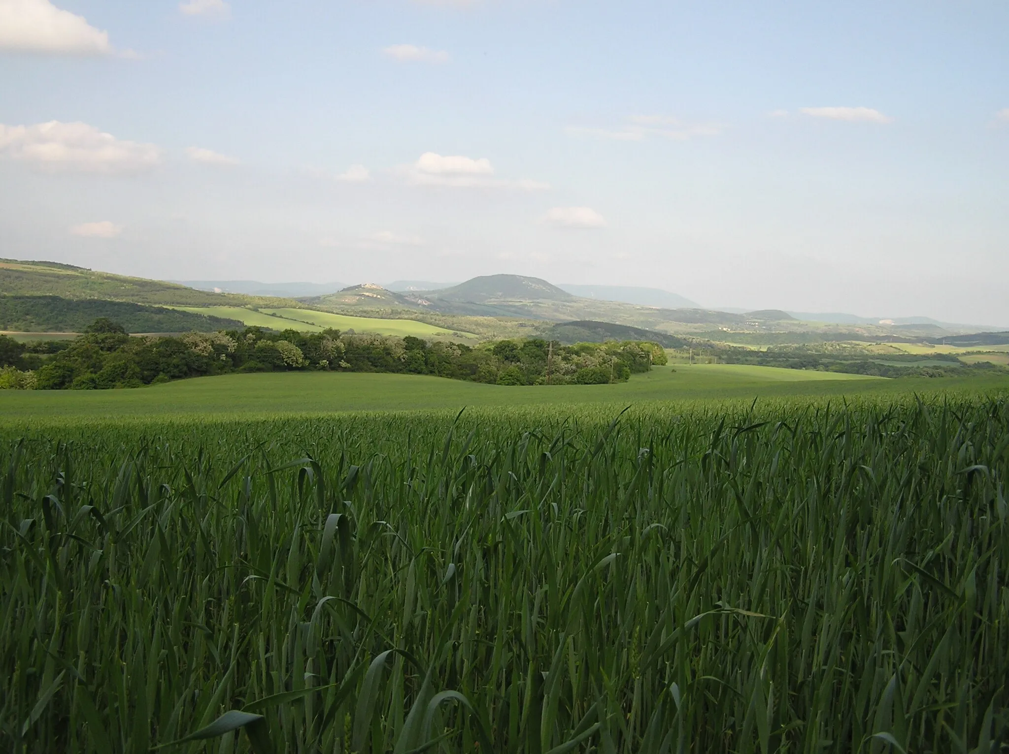 Photo showing: Gerecse mountains, near Péliföldszentkereszt, Views of Bajót, Hungary