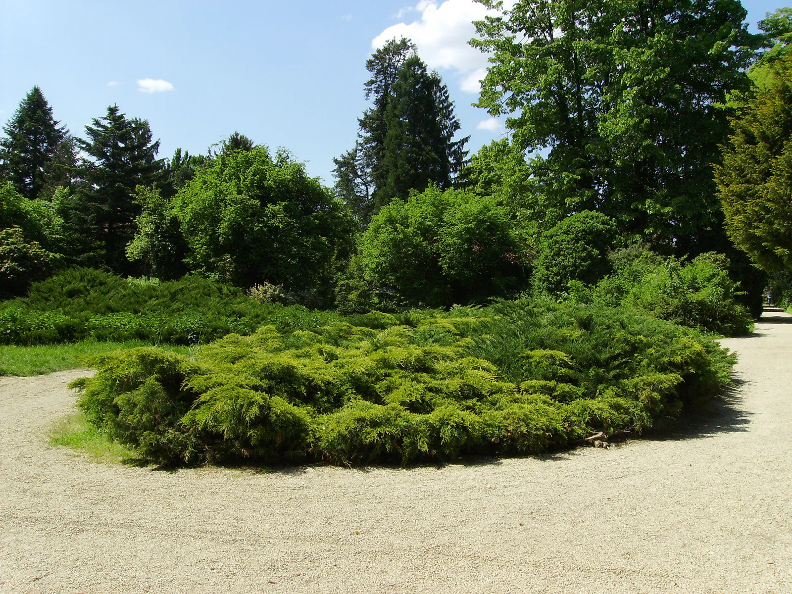 Photo showing: Kámoni Arborétum, Szombathely