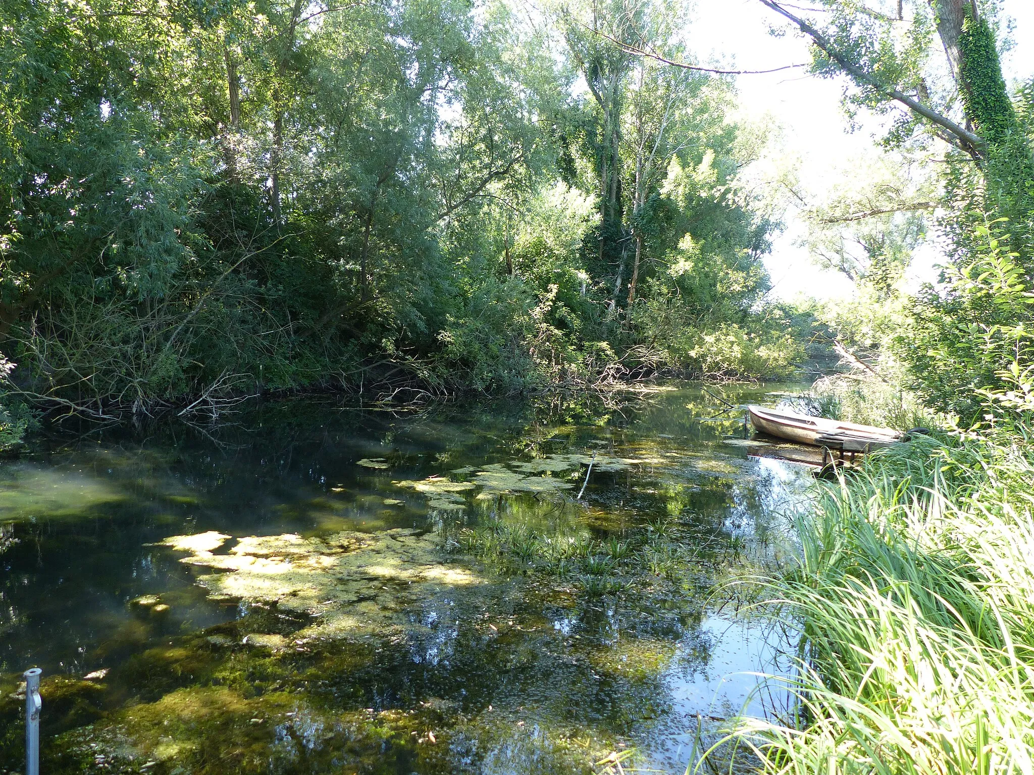 Photo showing: Alsógyenes. Southern part of Gyenesdiás at lake Balaton. I came all the way down to Diás island.