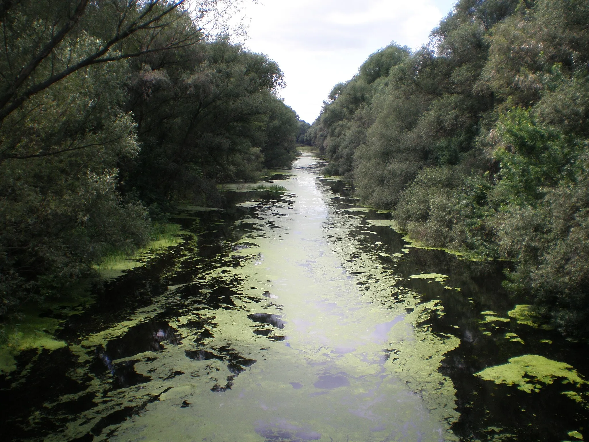 Photo showing: Holtág a Szigetközben