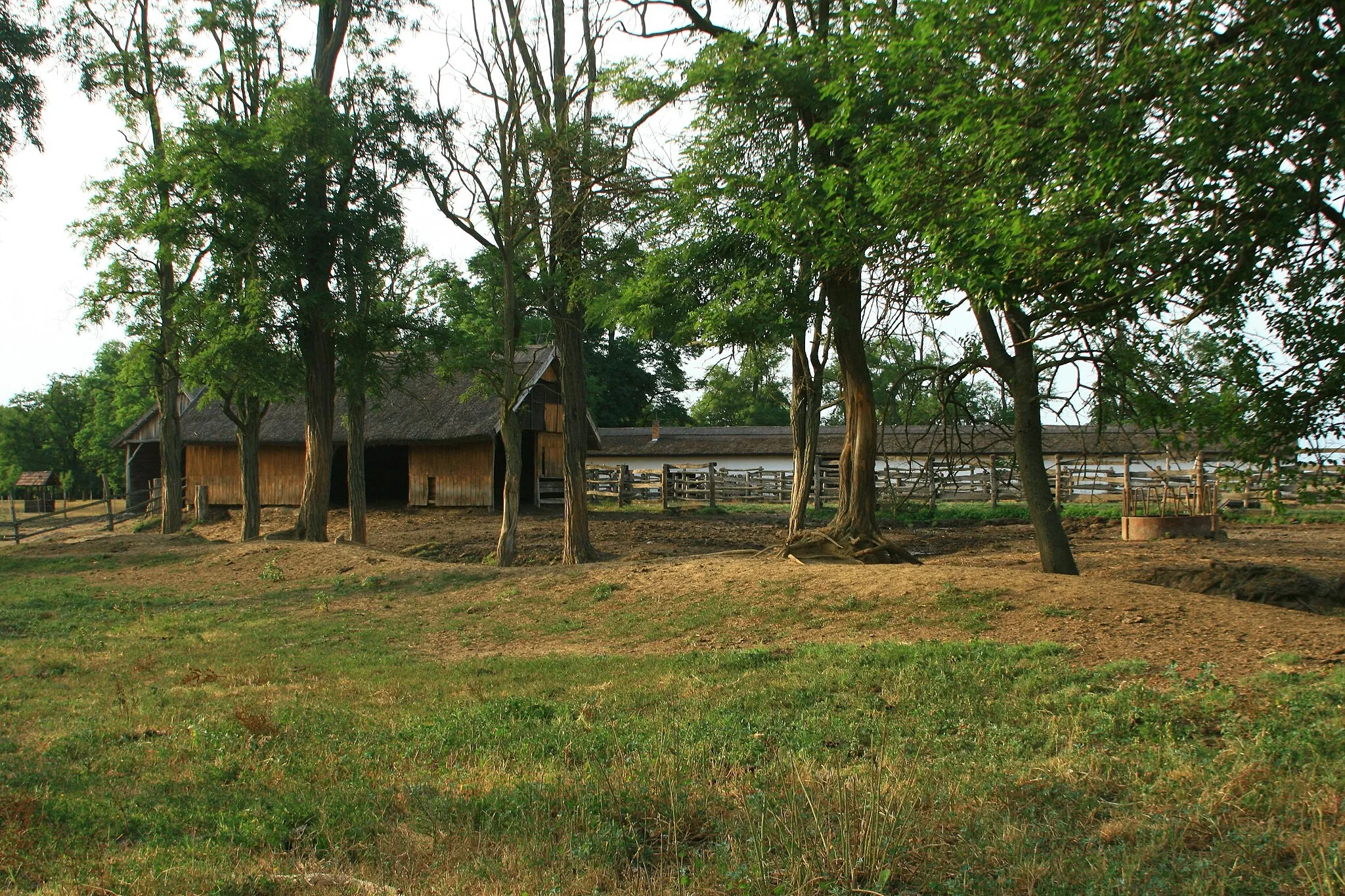 Photo showing: Zalakomár, Kiskomárom, 8751 Hungary