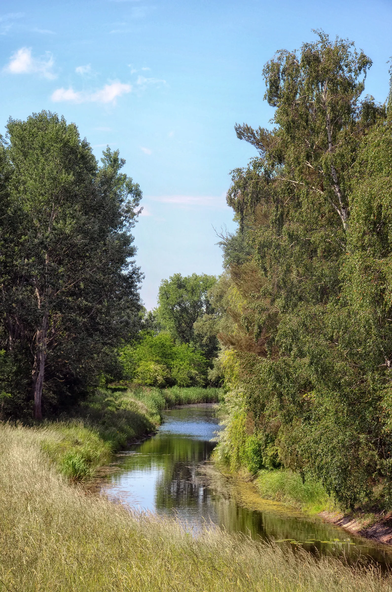 Photo showing: Kepés-Lesvár Canal by Dózsamajor, Ikrény, Hungary