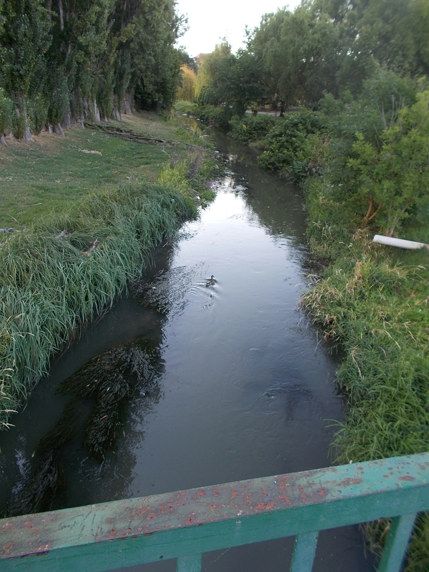 Photo showing: : View to north from Csaba Street Bridge over the Malom tributary of Leitha. - Csaba Street, Magyaróvár neighborhood, Mosonmagyaróvár, Győr-Moson-Sopron County, Hungary.