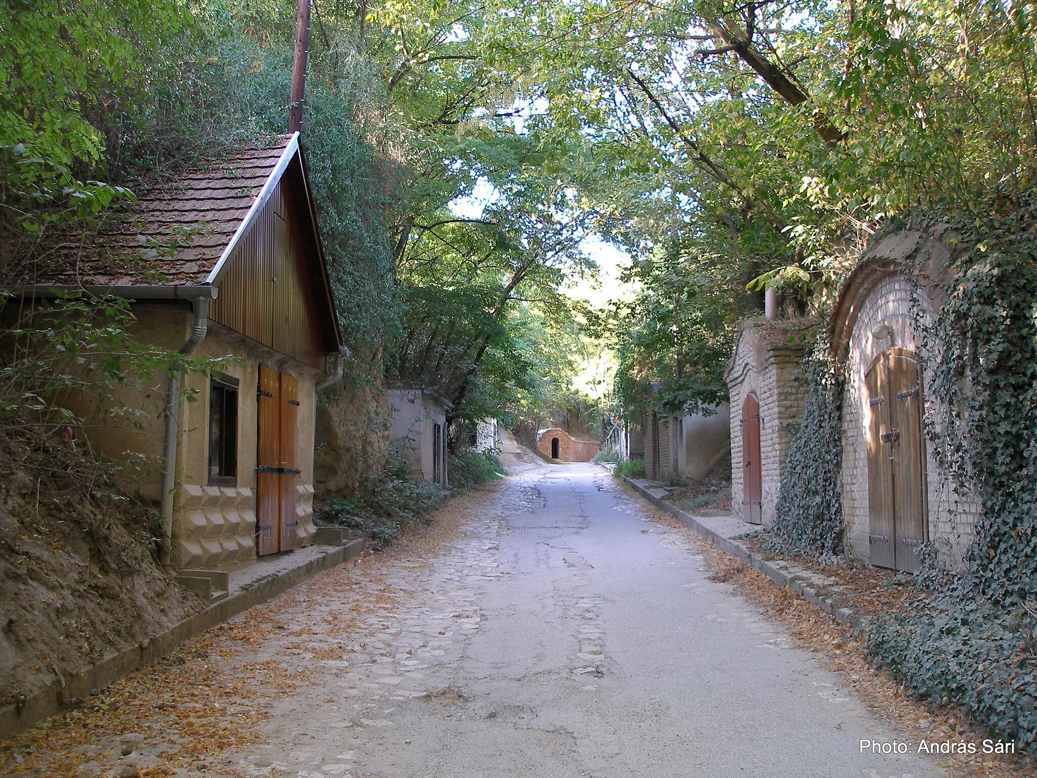 Photo showing: Löszfalba vájt pincék