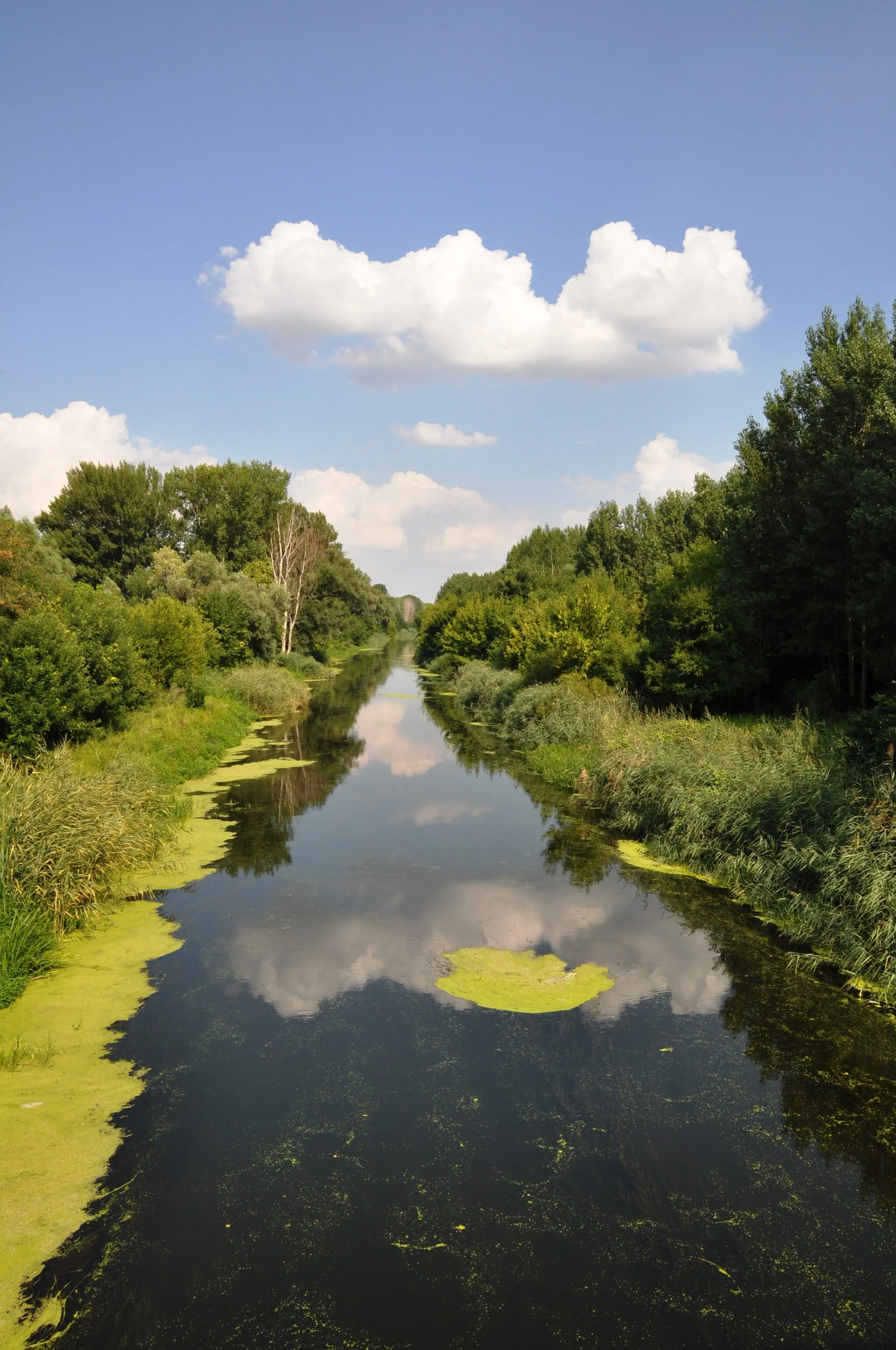 Photo showing: Der Fluß Rabnitz ( Rábca ) bei Györsövényház