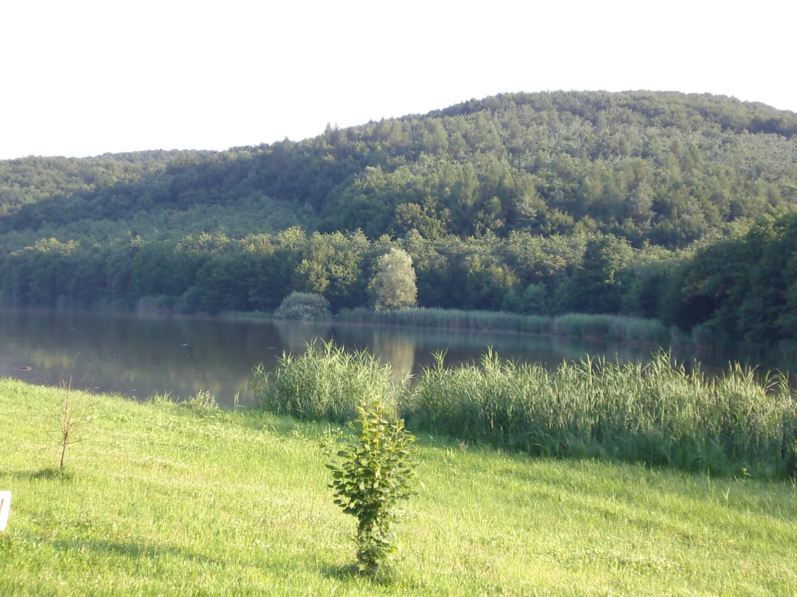 Photo showing: lake in Kistolmacs in Hungary in Zala county