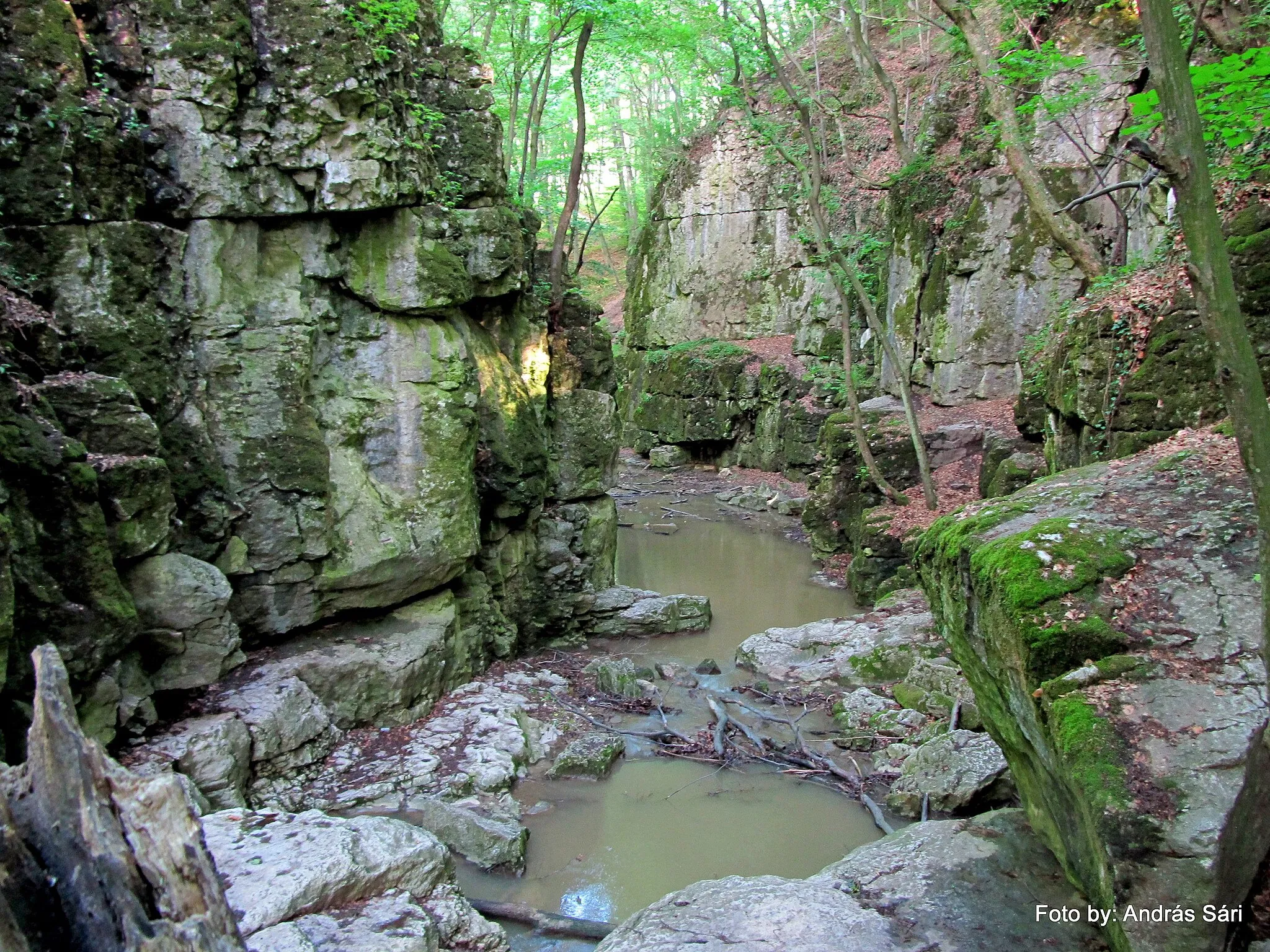 Photo showing: Római fürdő