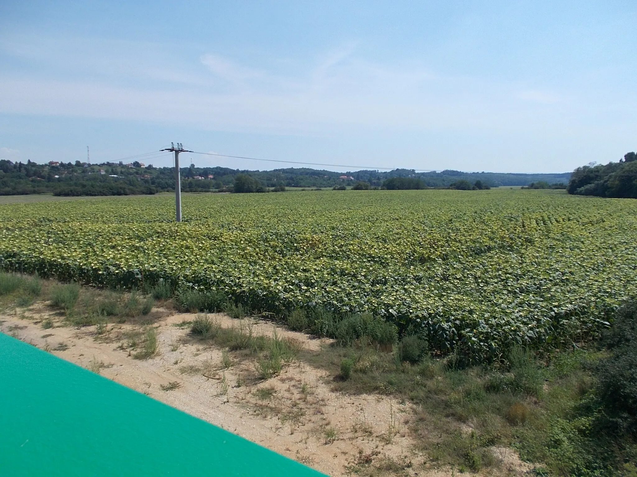 Photo showing: : View to SE (Hegyközség city part) from (Western) Floodplain Bridge bicycle-footbridge part. - Celli Road? (Route 84150), Sárvár, Vas County, Hungary.