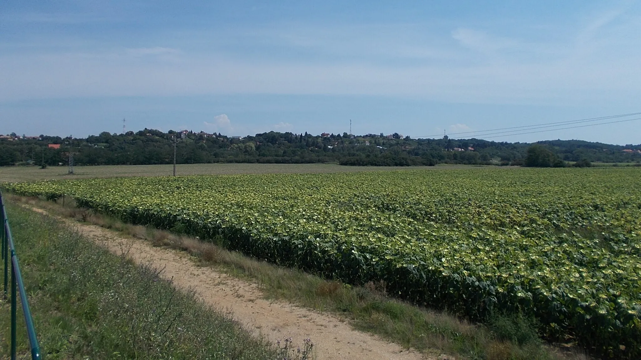 Photo showing: : View to E-SE (Hegyközség city part) from (Western) Floodplain Bridge bicycle-footbridge part. - Celli Road? (Route 84150), Sárvár, Vas County, Hungary.